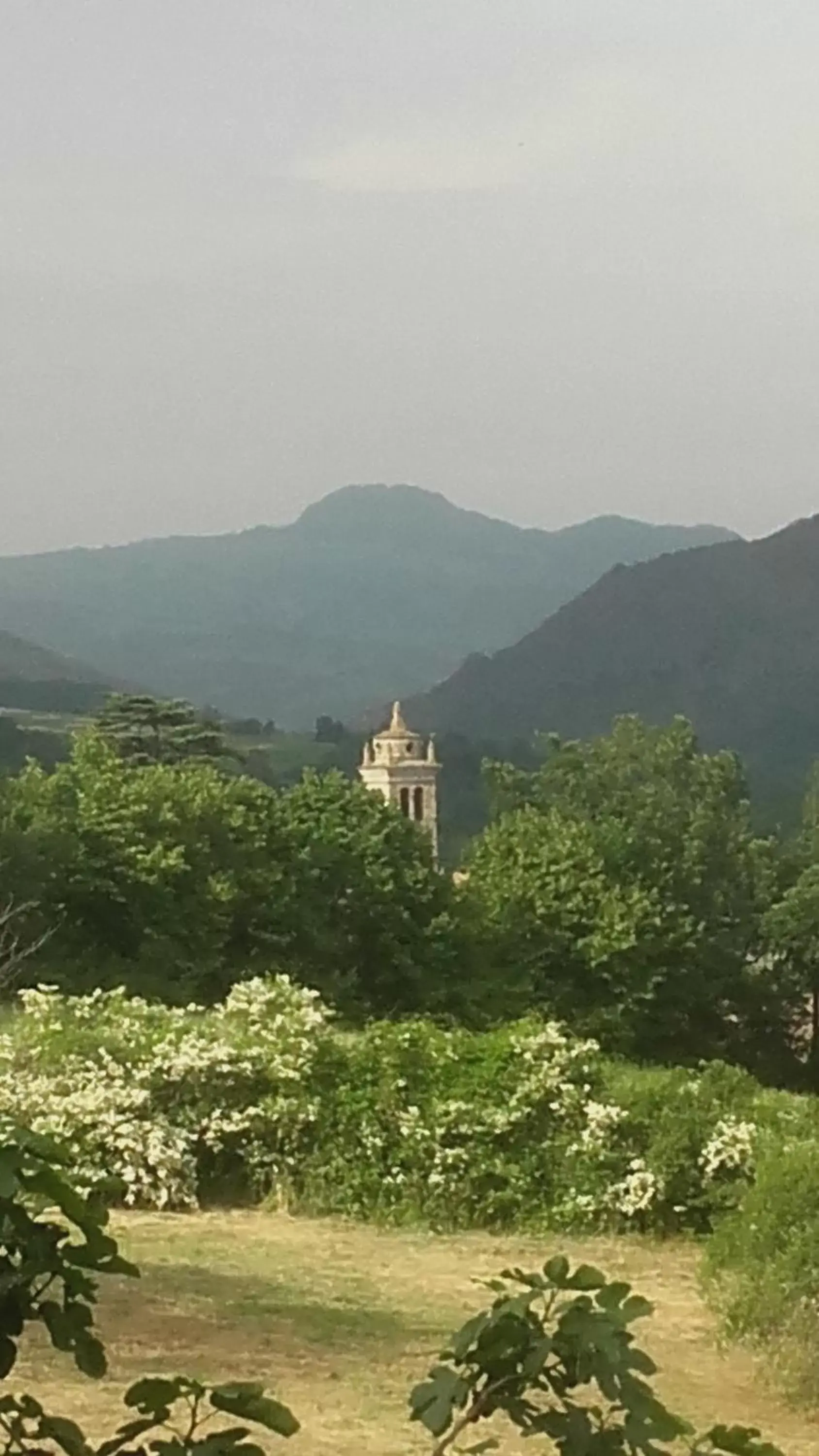 Mountain View in La bicocca