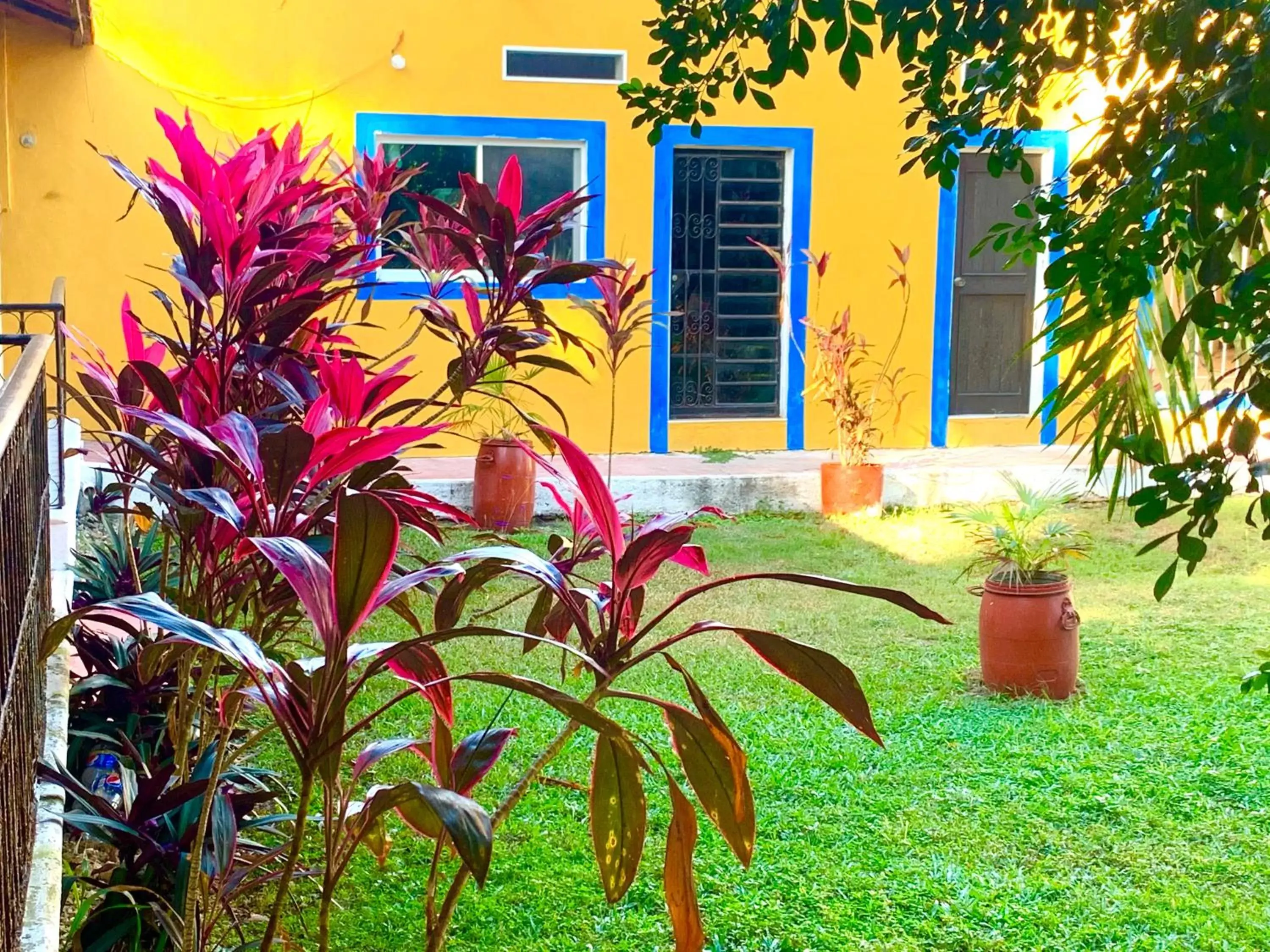 Garden in Hotel Green River