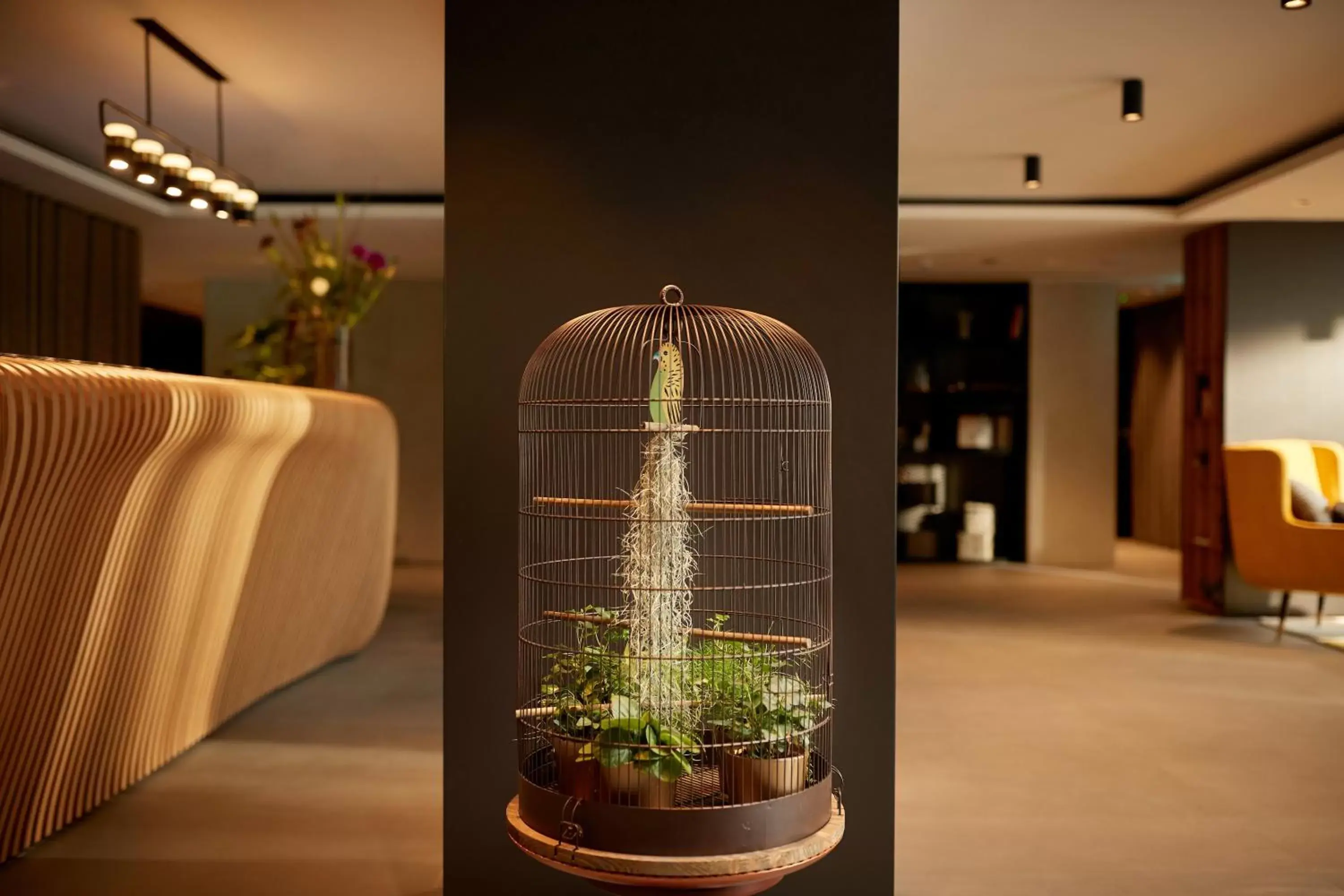 Lobby or reception in Park Plaza Vondelpark Amsterdam Lobby or reception in Park Plaza Vondelpark Amsterdam