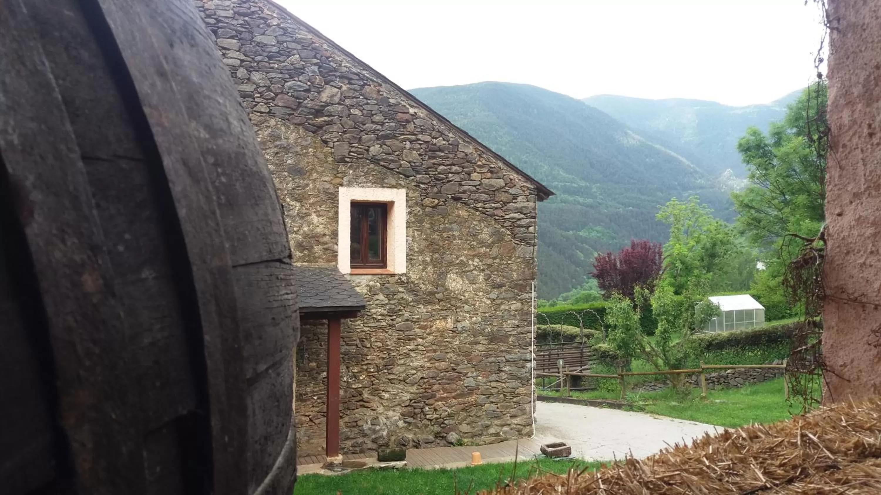 Natural landscape in Hotel Cruells