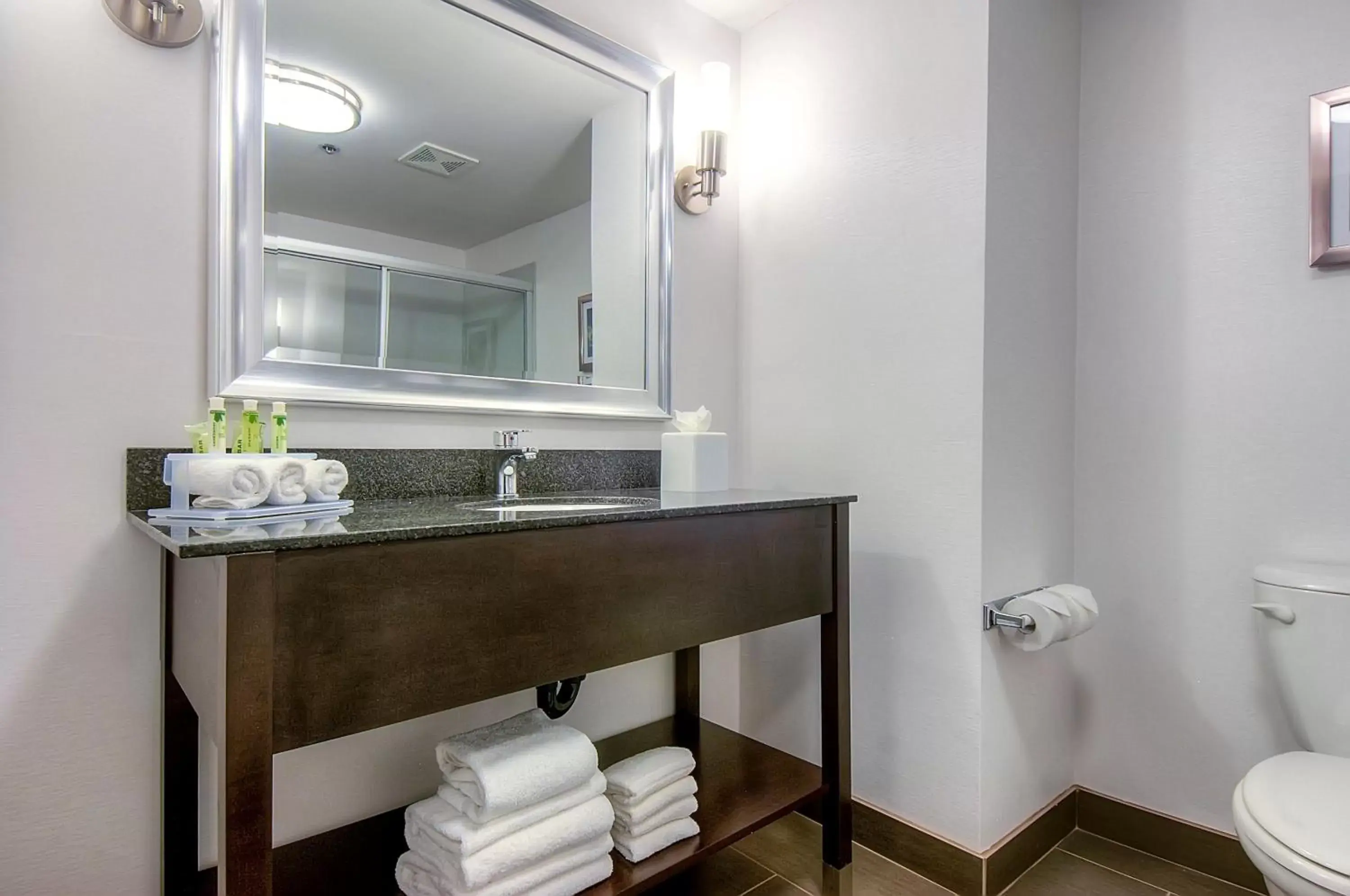 Bathroom in Holiday Inn Express Hotel & Suites Carlsbad Beach, an IHG Hotel