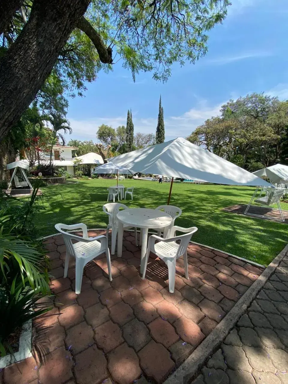 Garden in Hotel Posada Quinta Las Flores