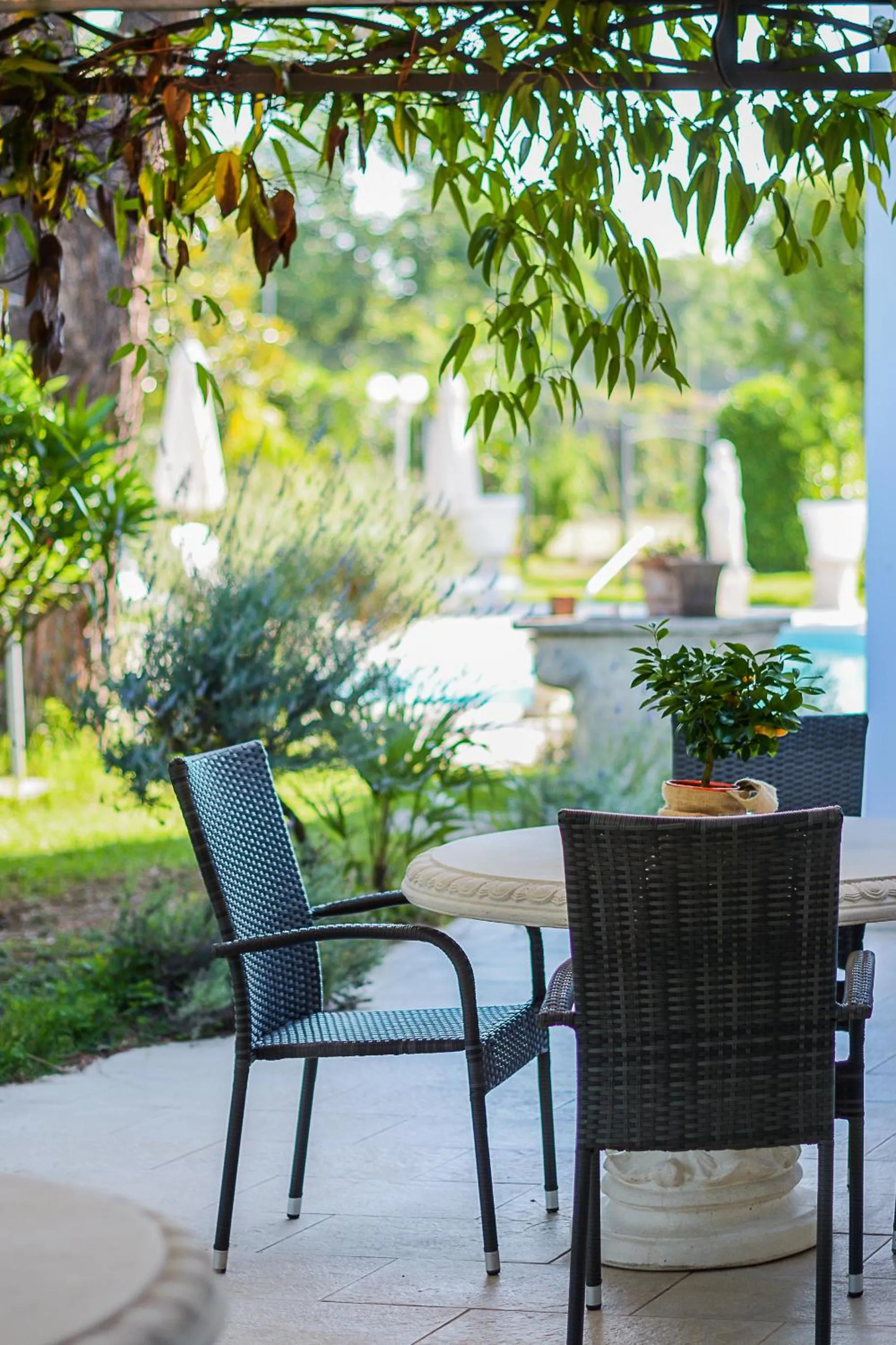 Patio in Bellavista Terme Resort & Spa