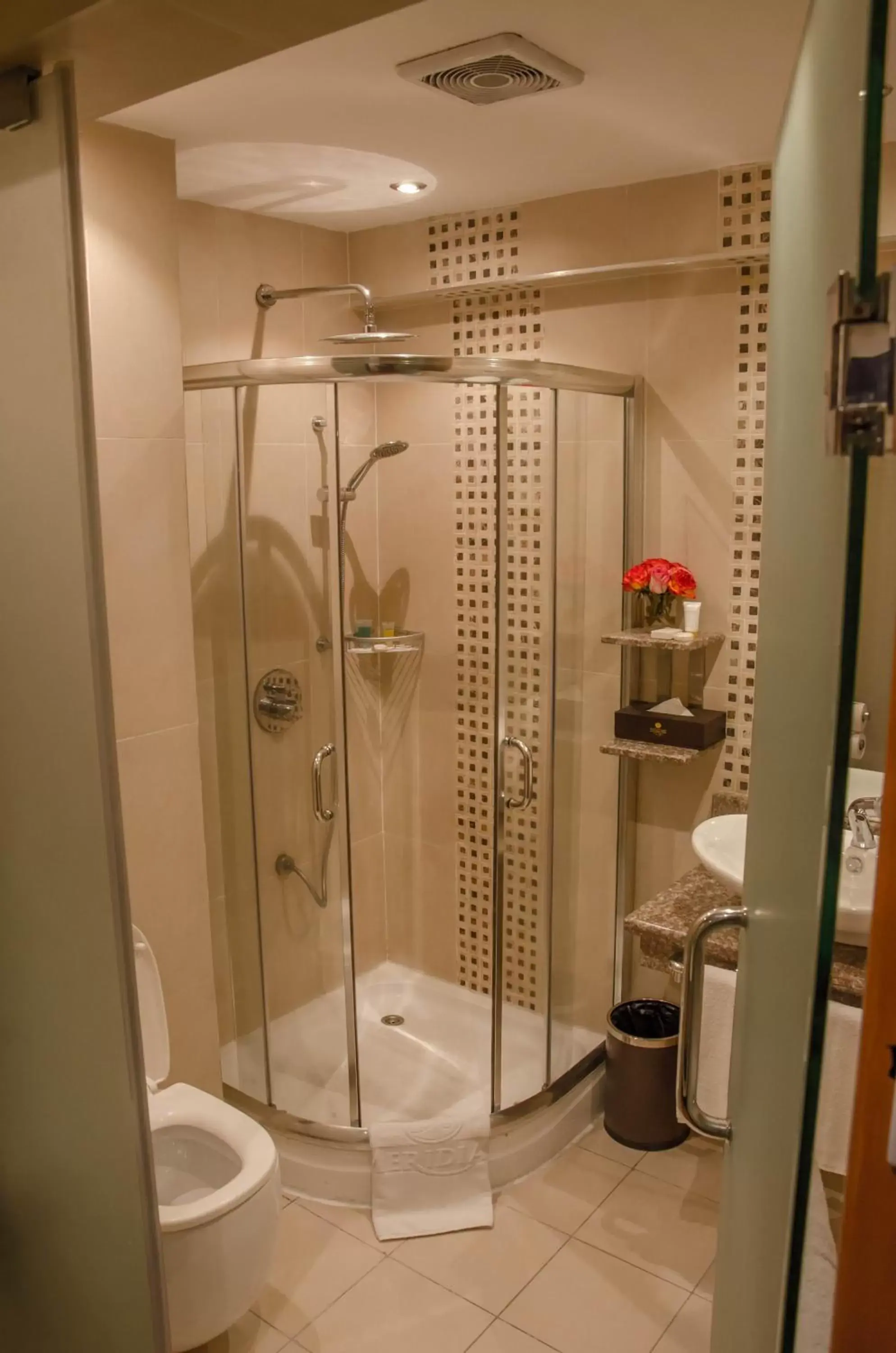 Shower, Bathroom in Best Western Plus Meridian Hotel