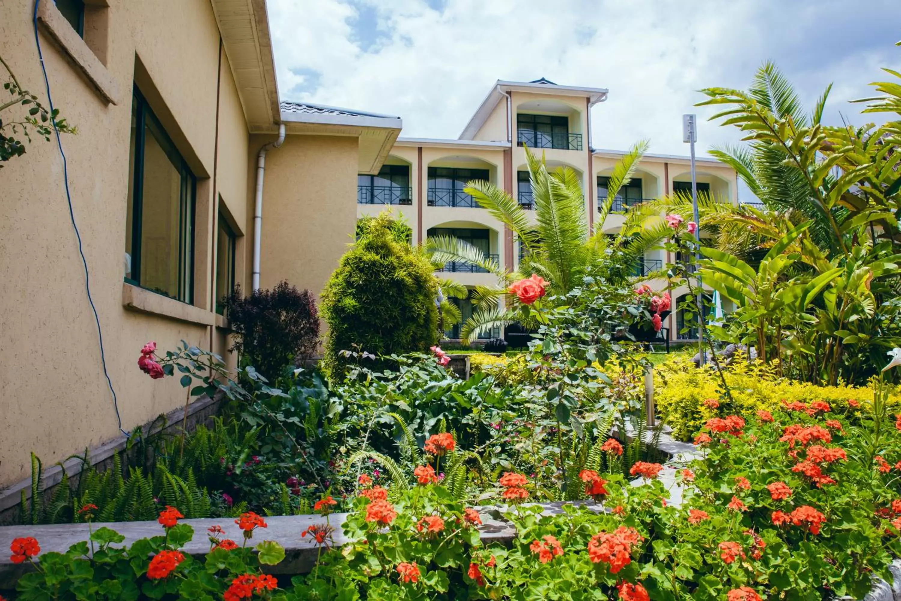 Gorillas Volcanoes Hotel Gorillas Volcanoes Hotel