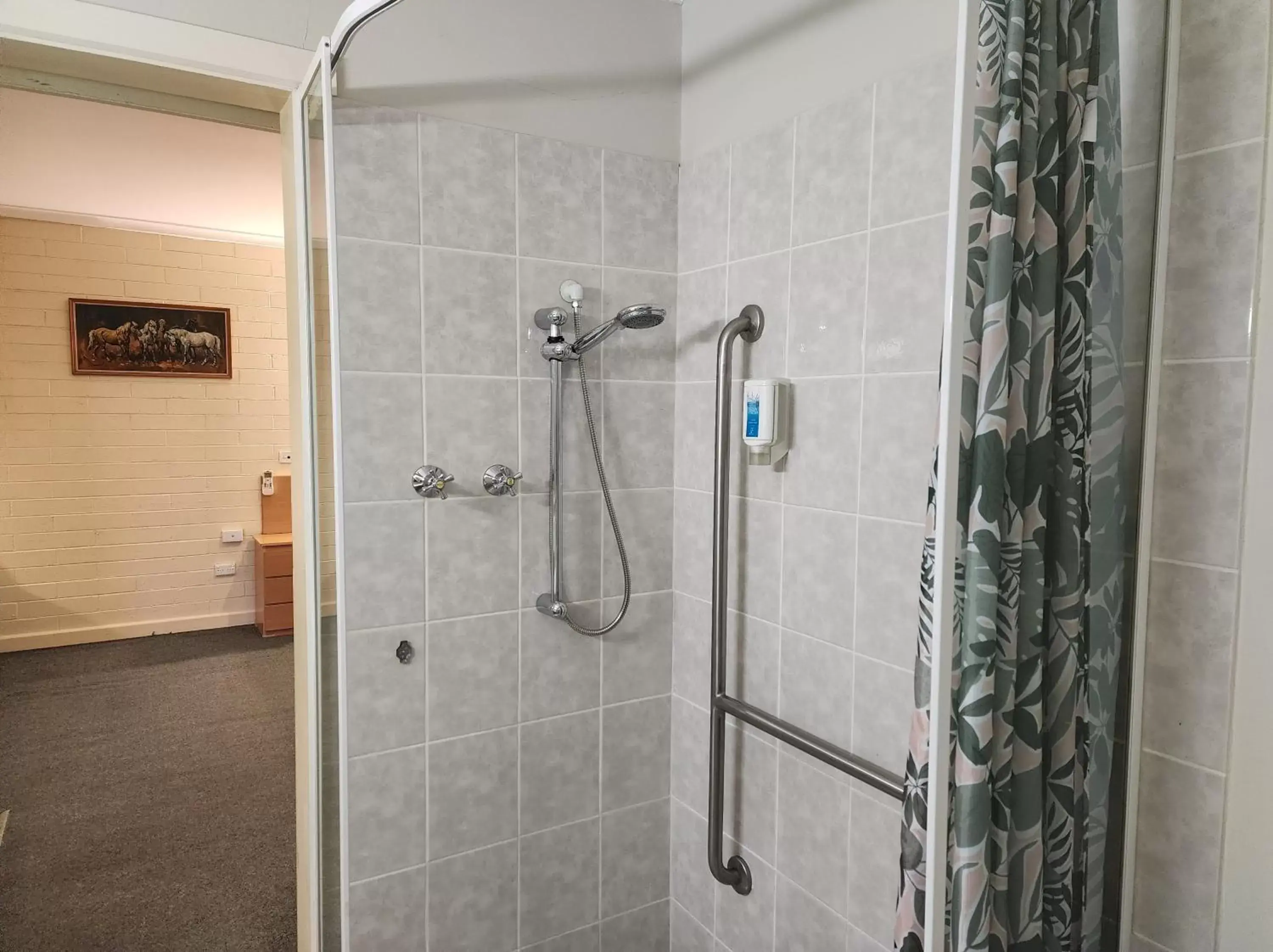 Shower, Bathroom in Hume Inn Motel Albury CBD