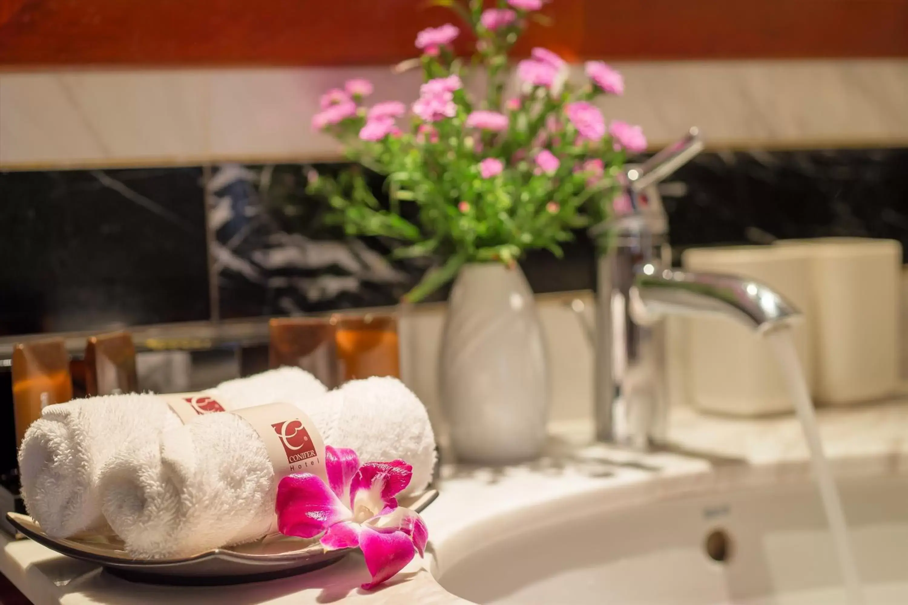 Bathroom in Conifer Boutique Hotel