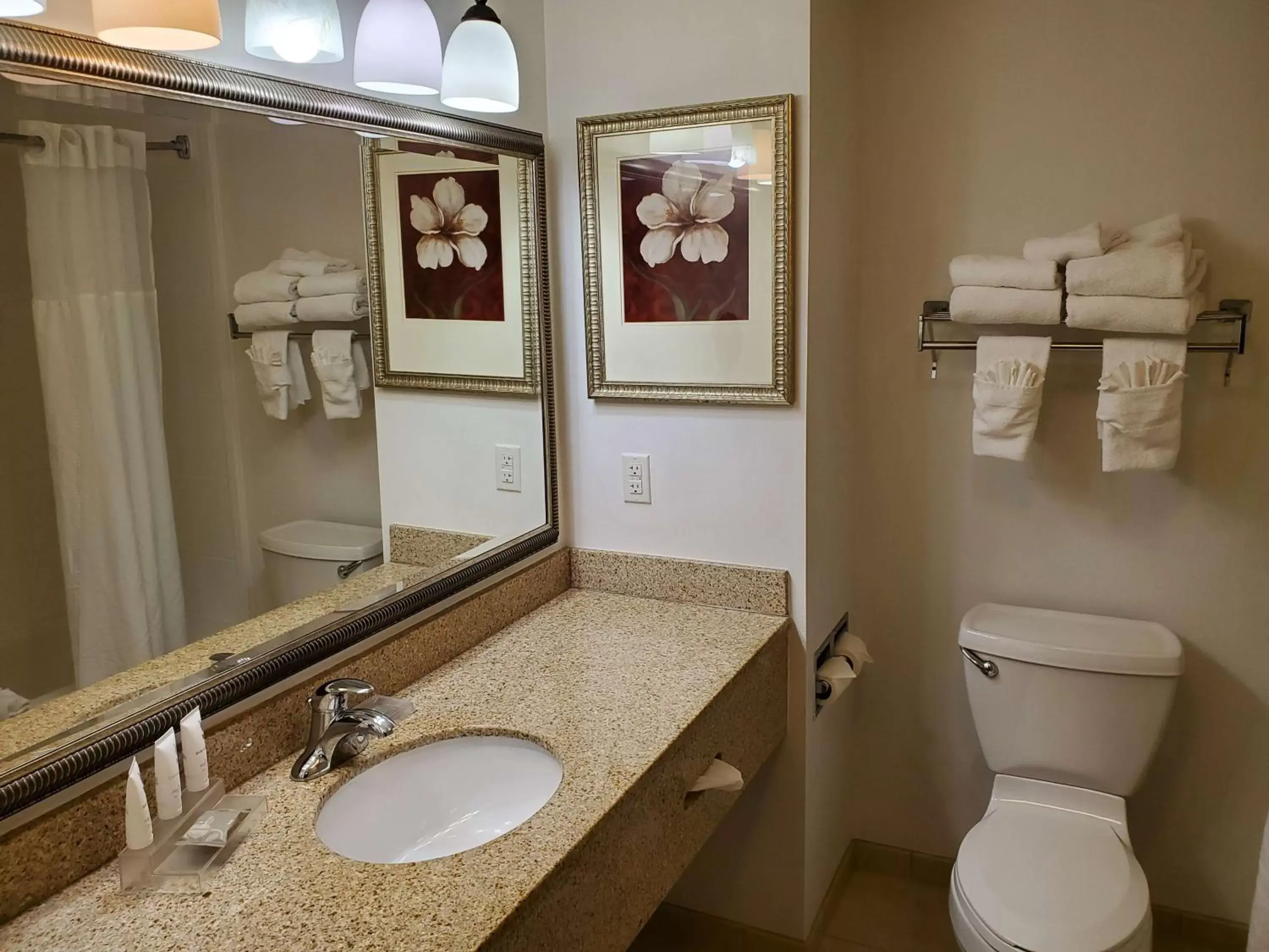 Photo of the whole room, Bathroom in Country Inn & Suites by Radisson, Braselton, GA