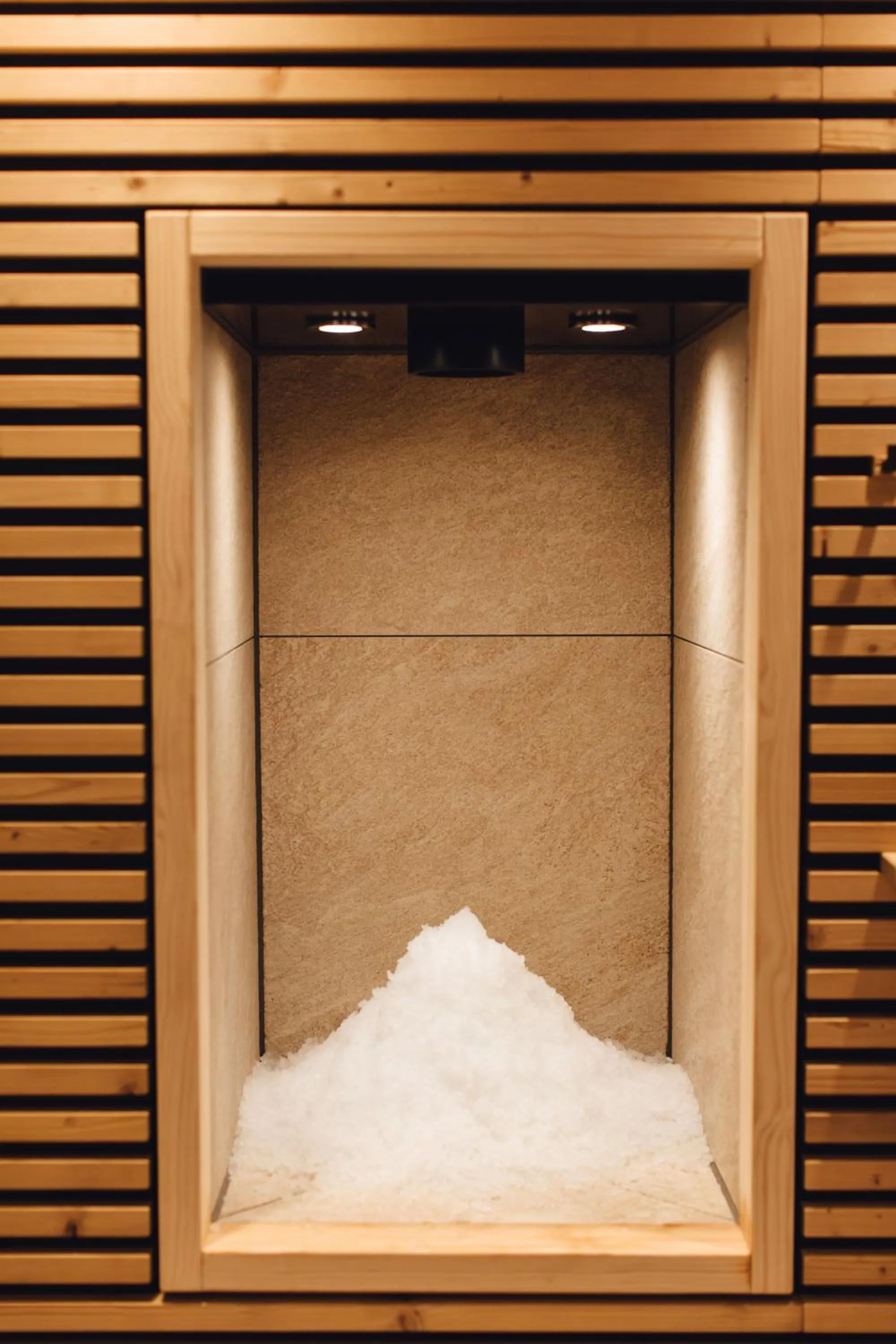 Sauna in Hotel Edita