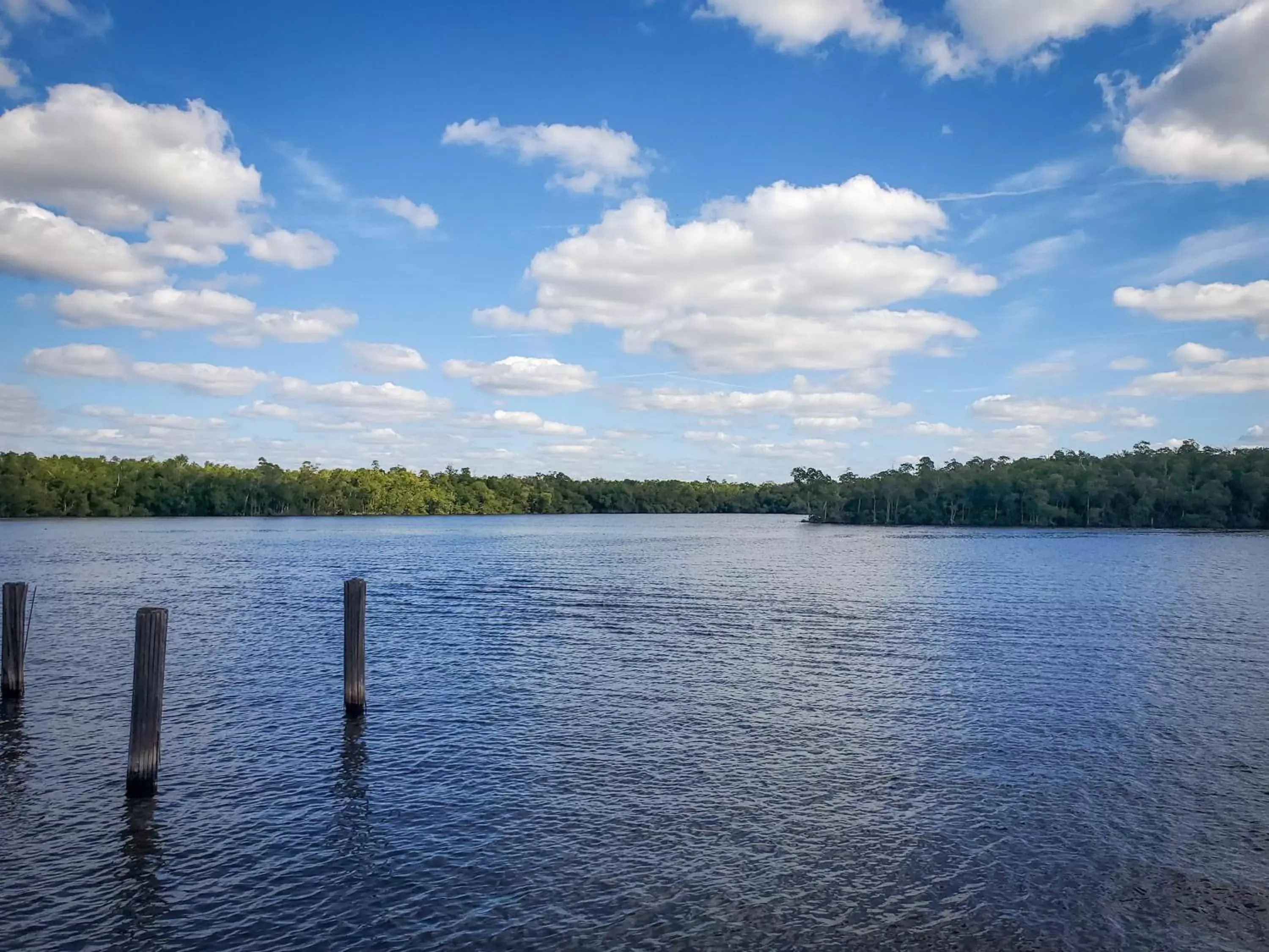 Lake view in Captain's Table Hotel by Everglades Adventures