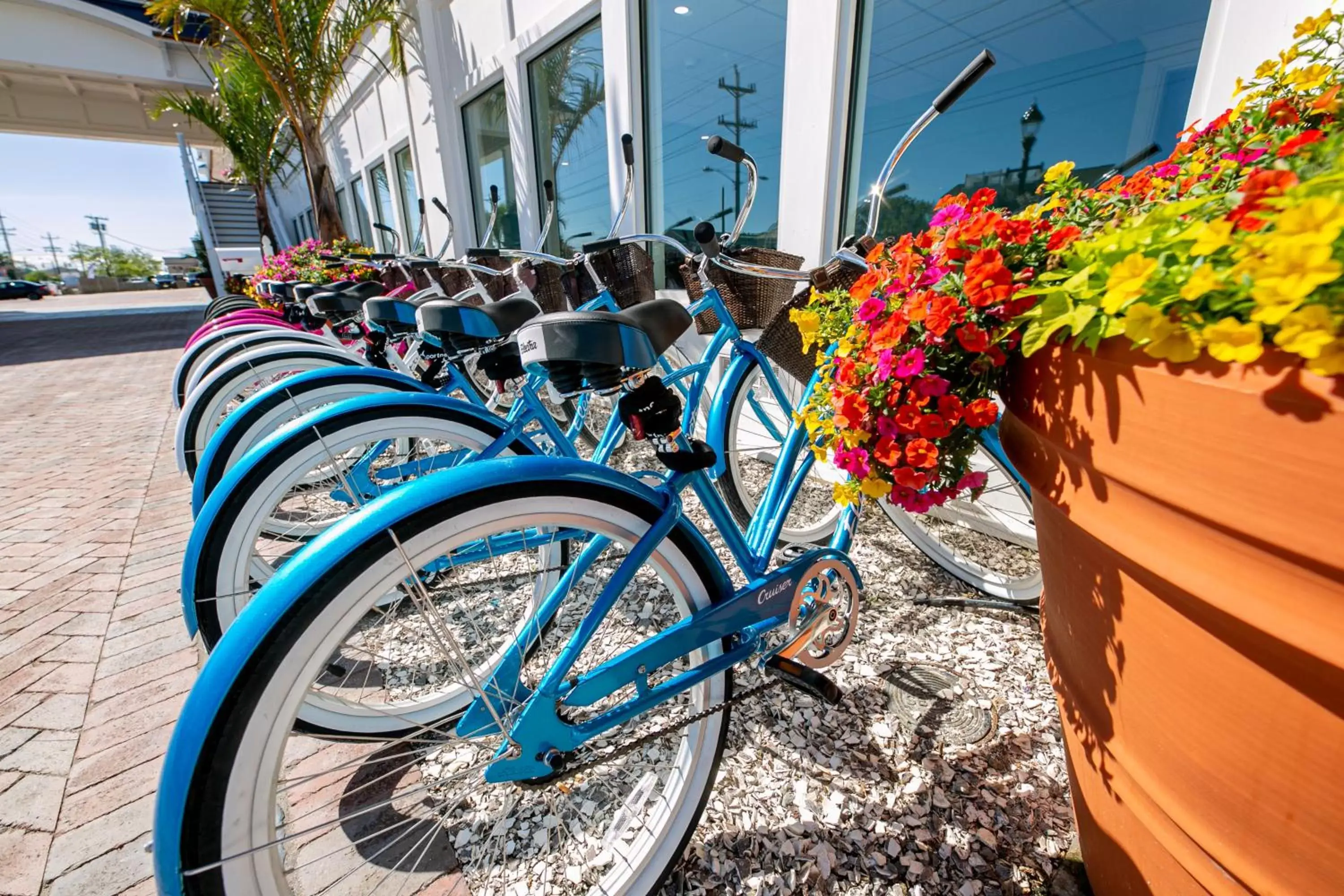 Cycling, Other Activities in Hotel LBI