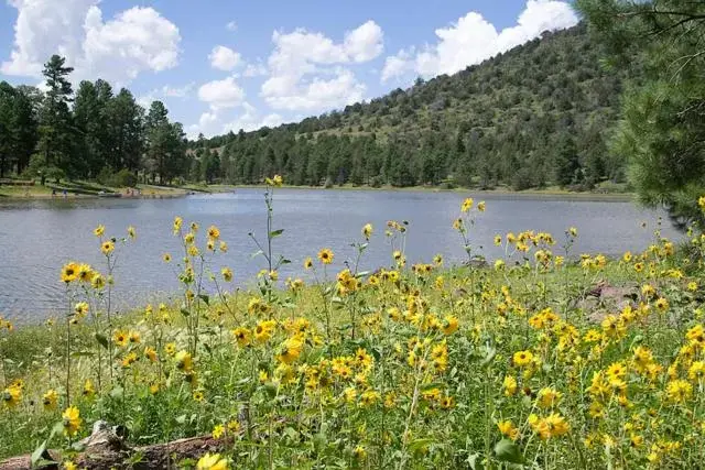 Natural landscape in Star Route 66 Grand Canyon