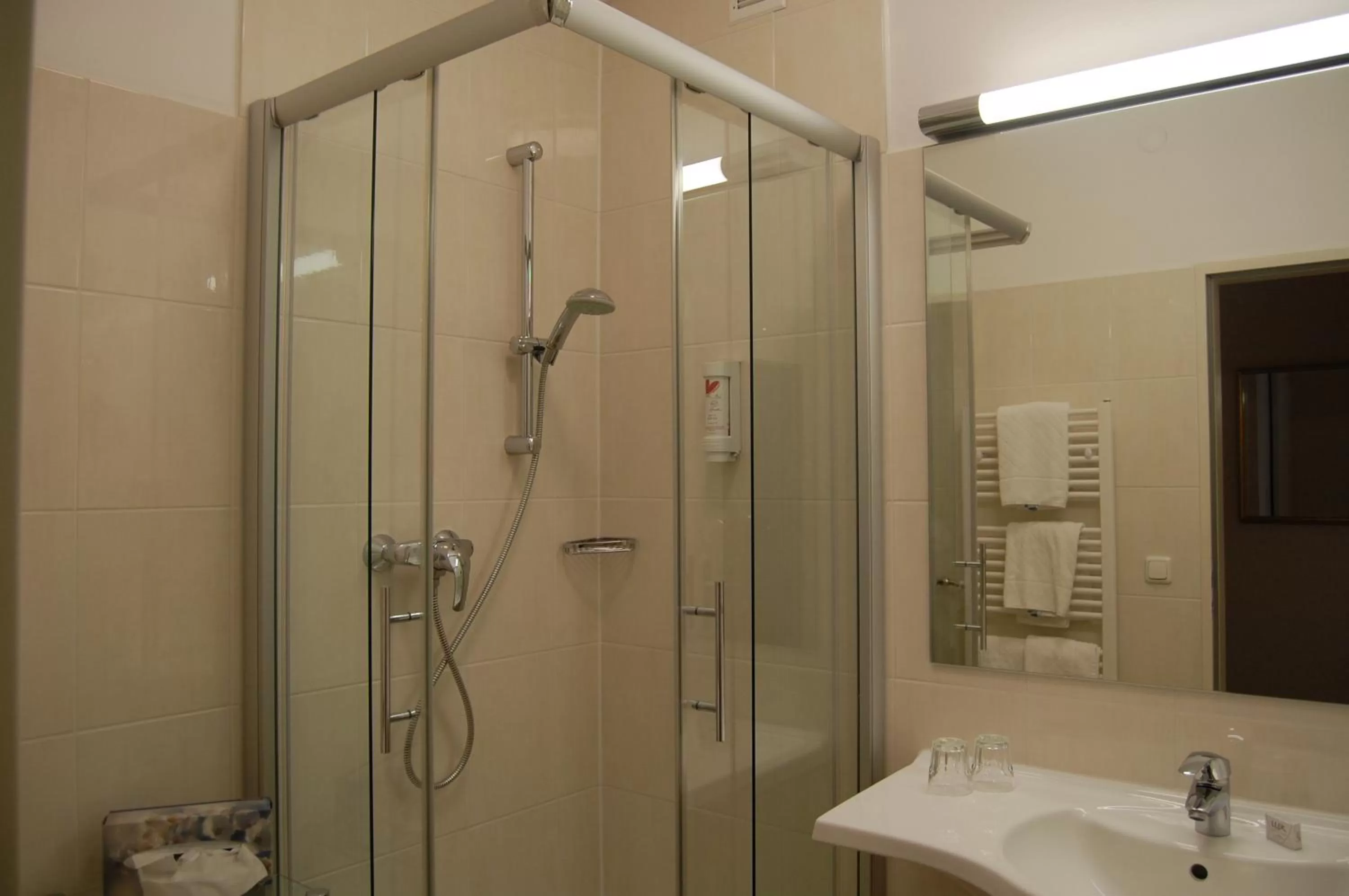 Bathroom in Parkhotel Bad Bevensen ,ThermePlus