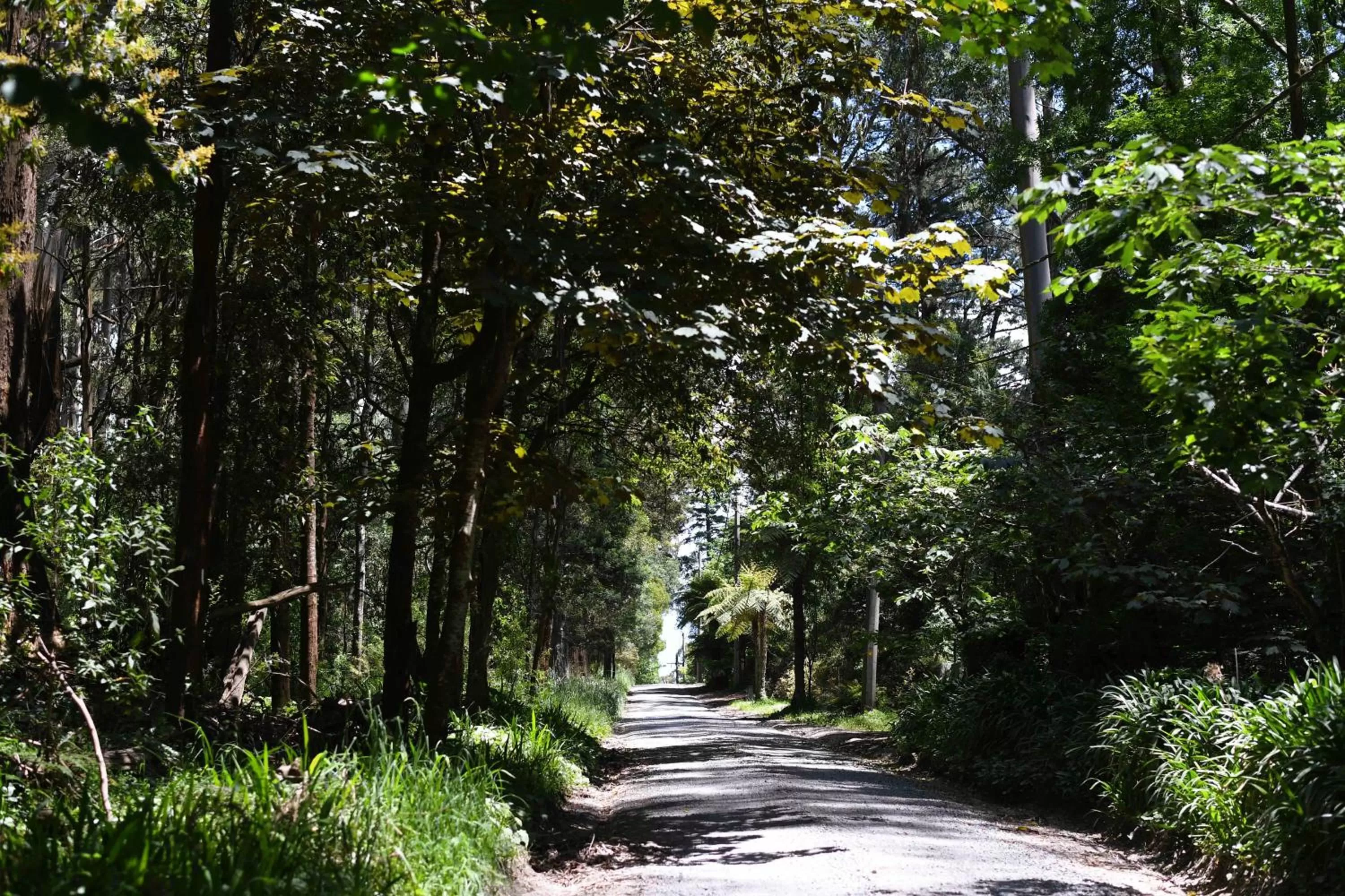 Natural landscape in Cambridge Cottages