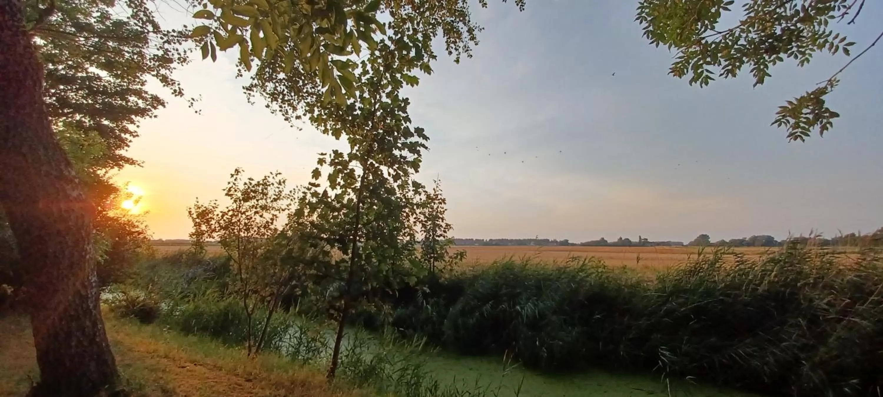 View (from property/room) in La Carte Postale