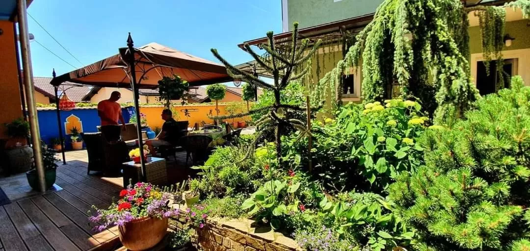 Garden in Hostel Sonce