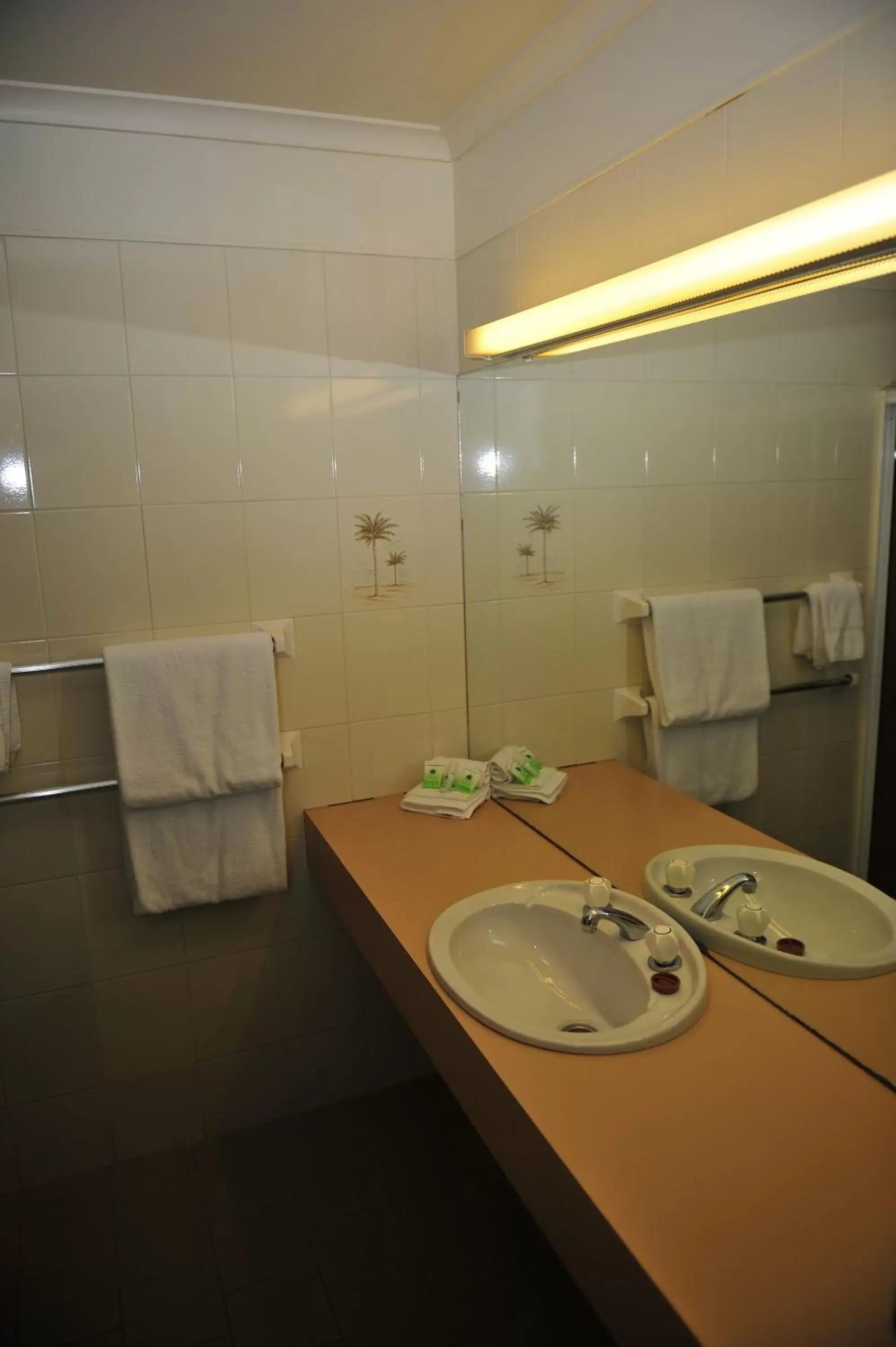 Bathroom in Mildura Plaza Motor Inn