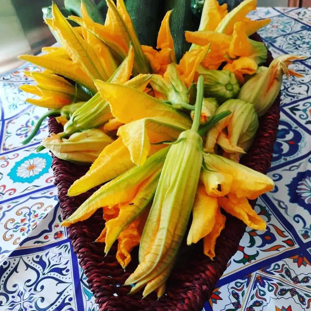 Garden in Masseria boutique b&b