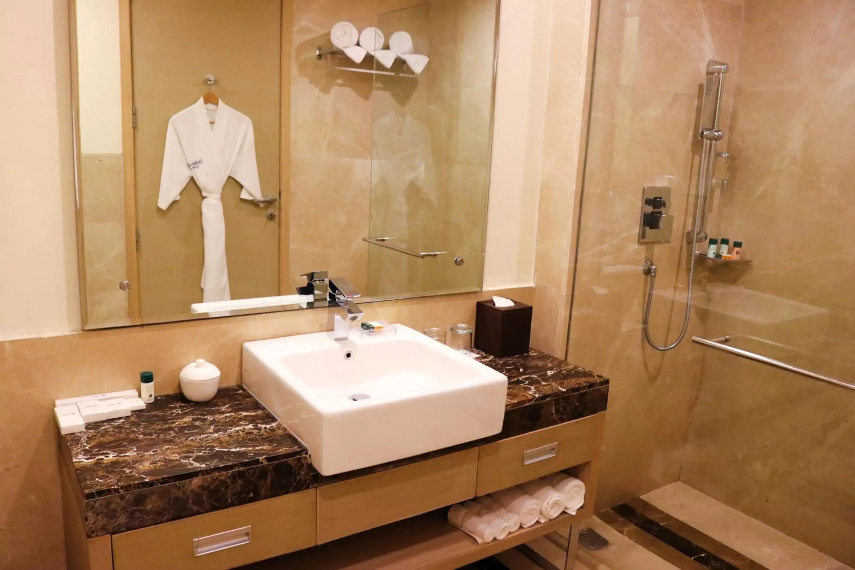 Bathroom in Radisson Blu Hotel, Greater Noida