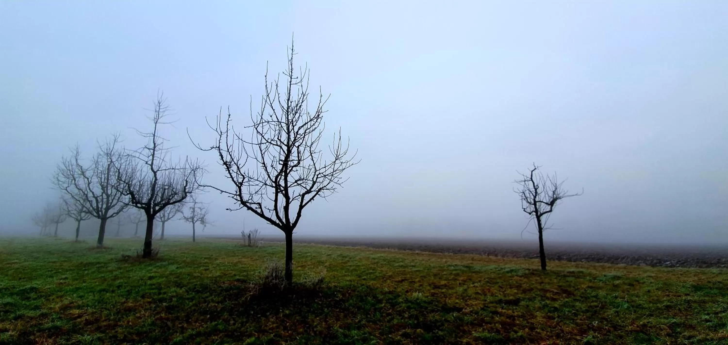 Staff in Boutique-Hotel Kronenstuben