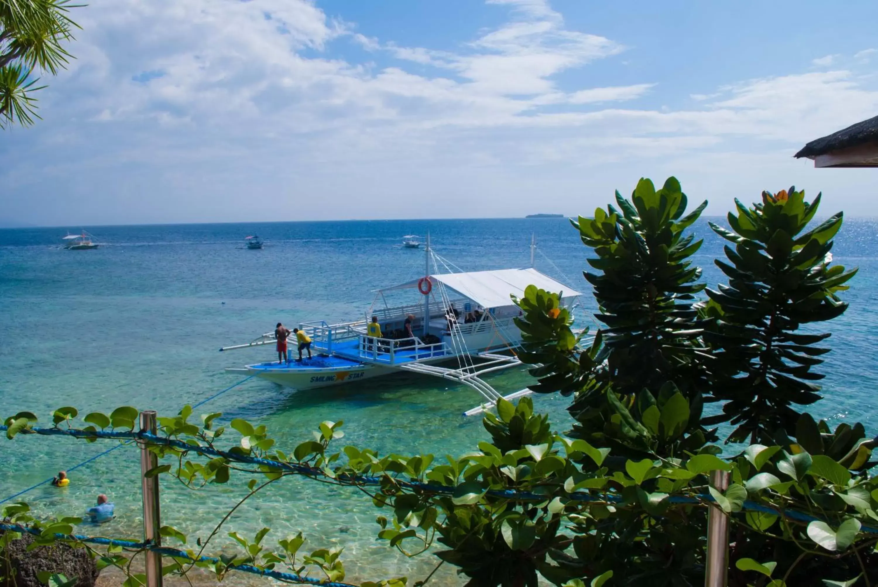 Natural landscape in Quo Vadis Dive Resort