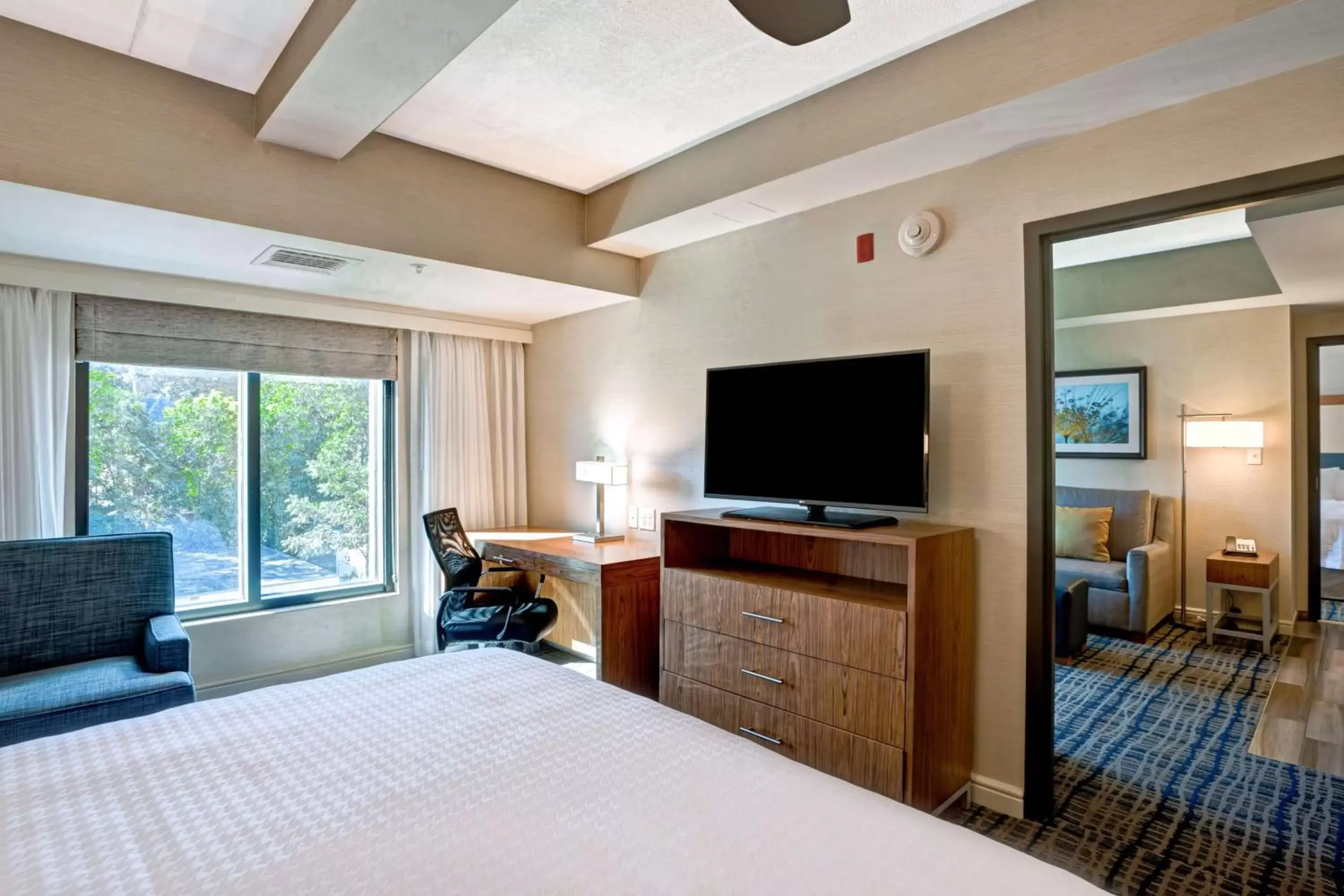 Bed, TV/Entertainment Center in Homewood Suites by Hilton Boston Brookline-Longwood Medical