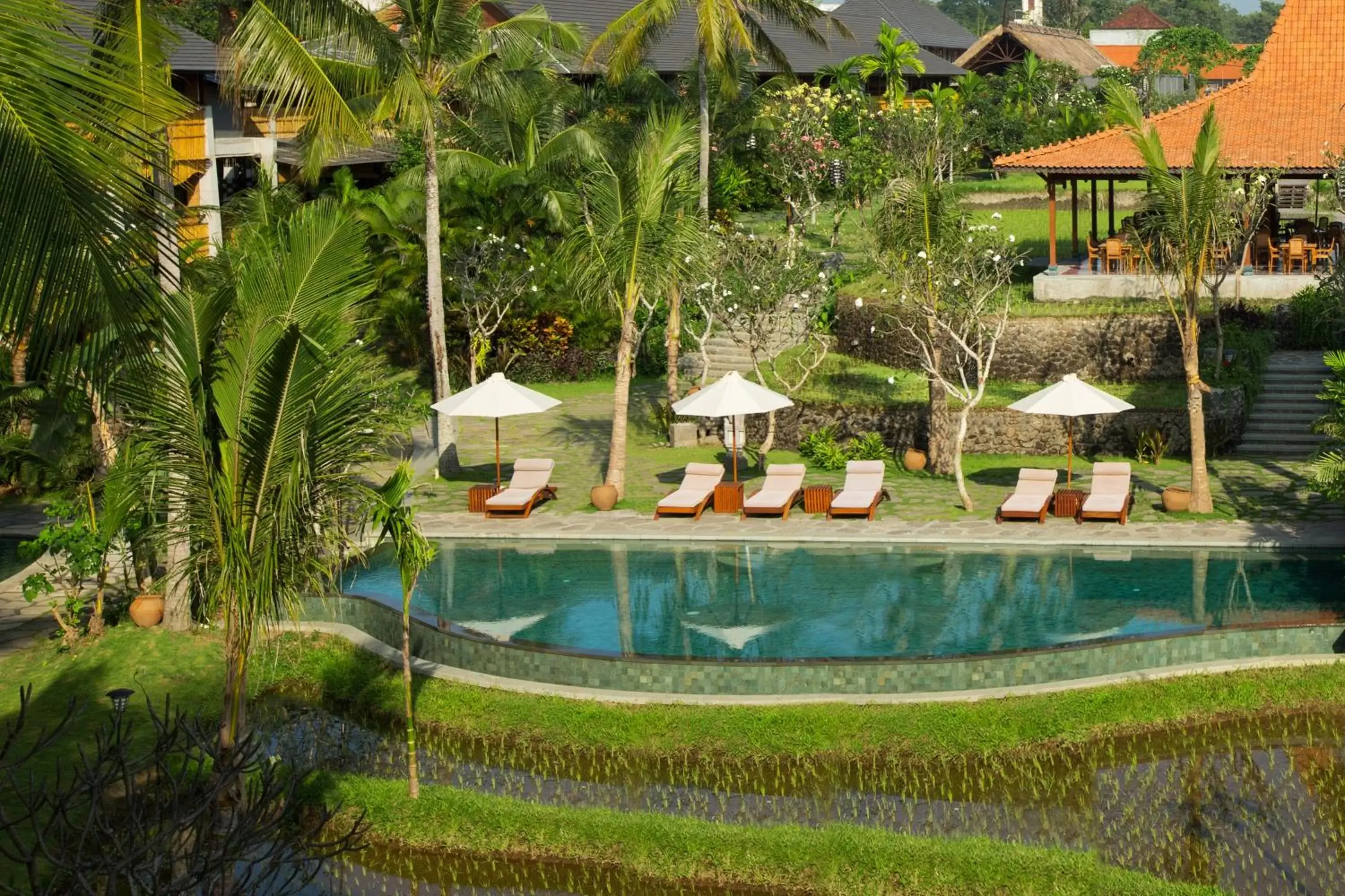 Swimming pool in Alaya Resort Ubud Swimming pool in Alaya Resort Ubud
