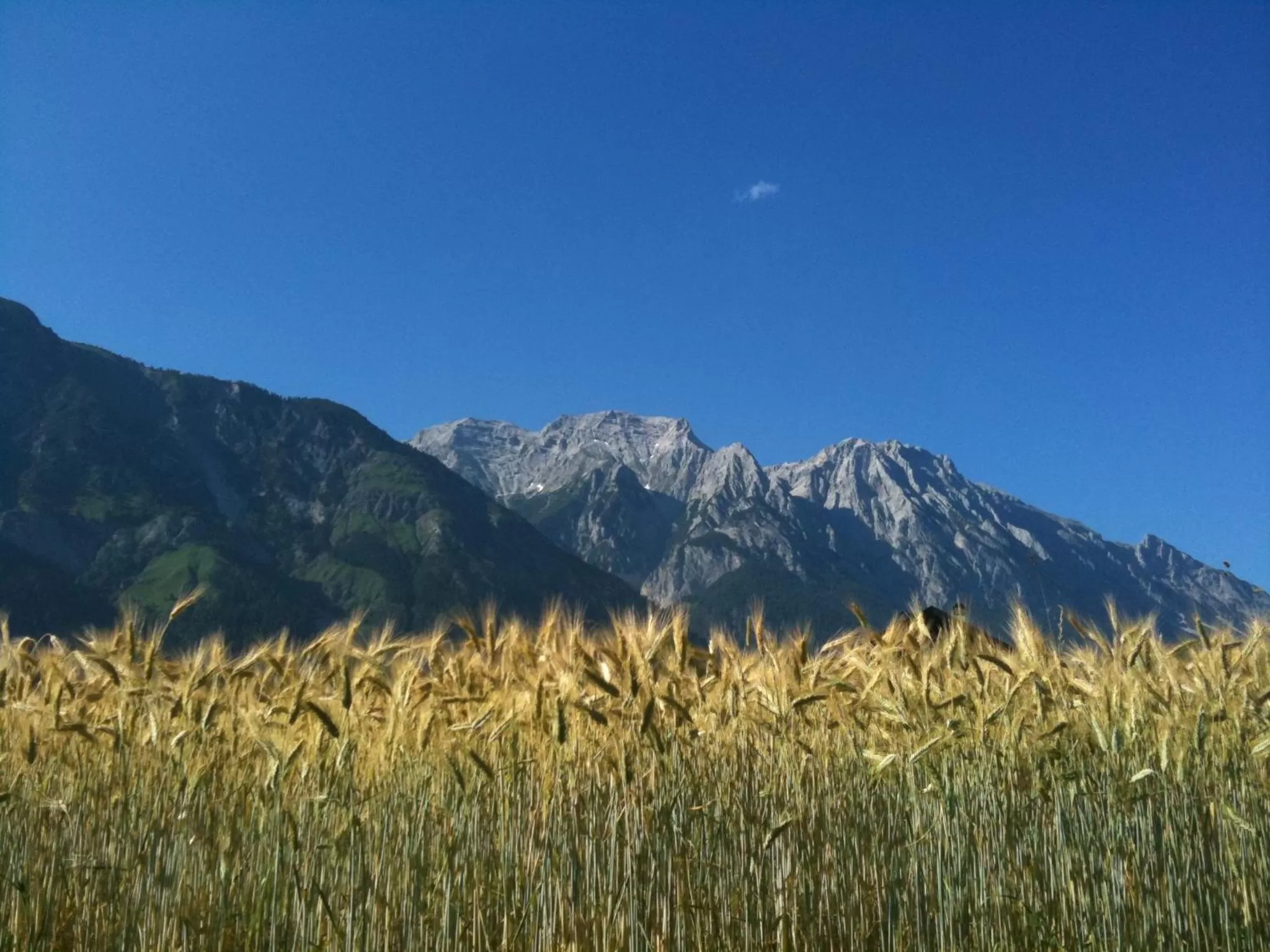 Garden in Austria Classic Hotel Heiligkreuz