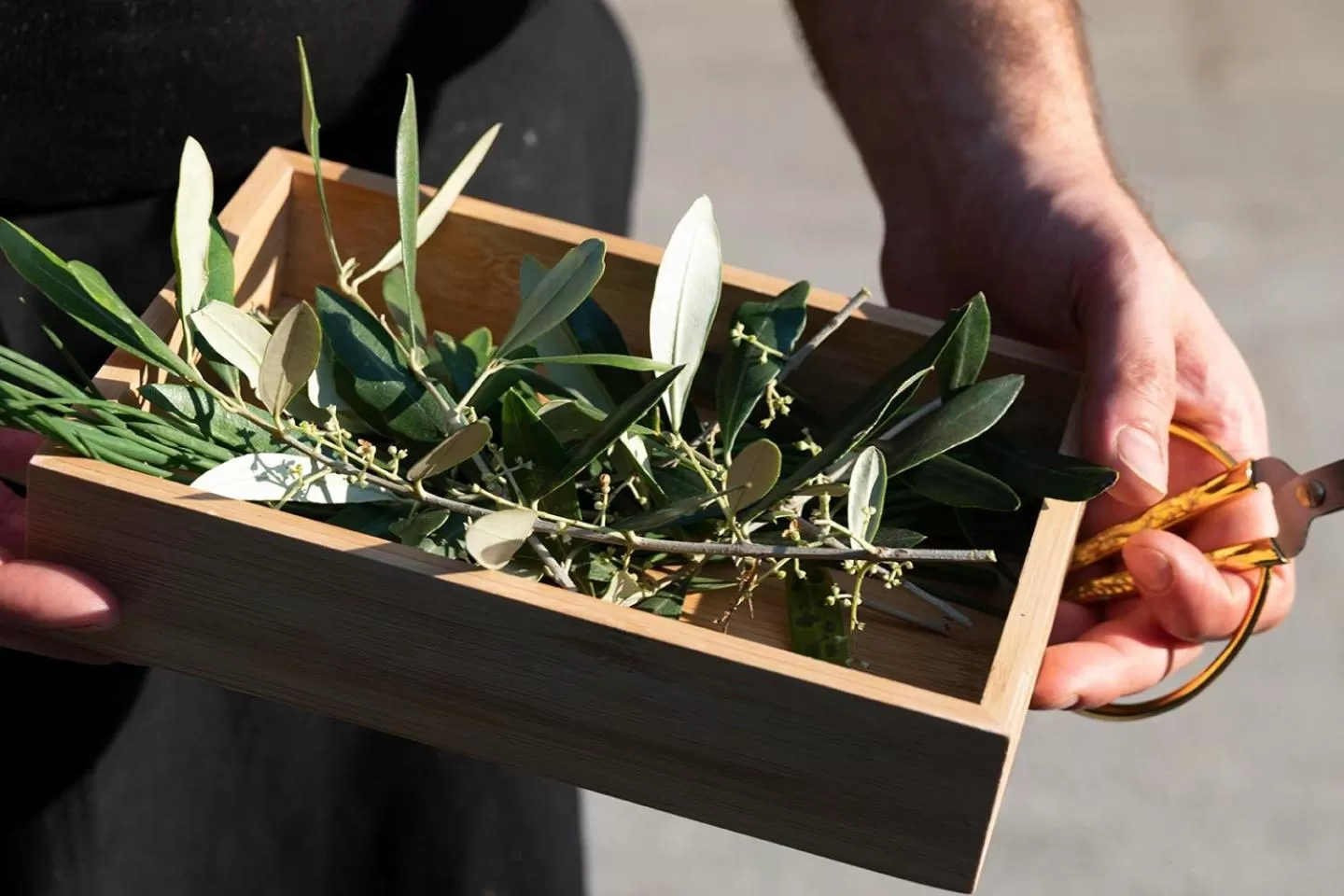 Restaurant/places to eat in Phi Hotel Piajo