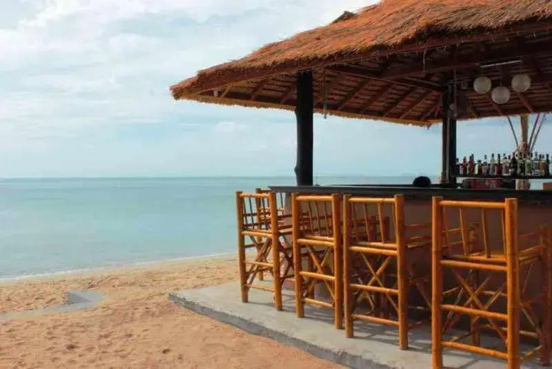 Lounge or bar, Beach in Peace Paradise Beach