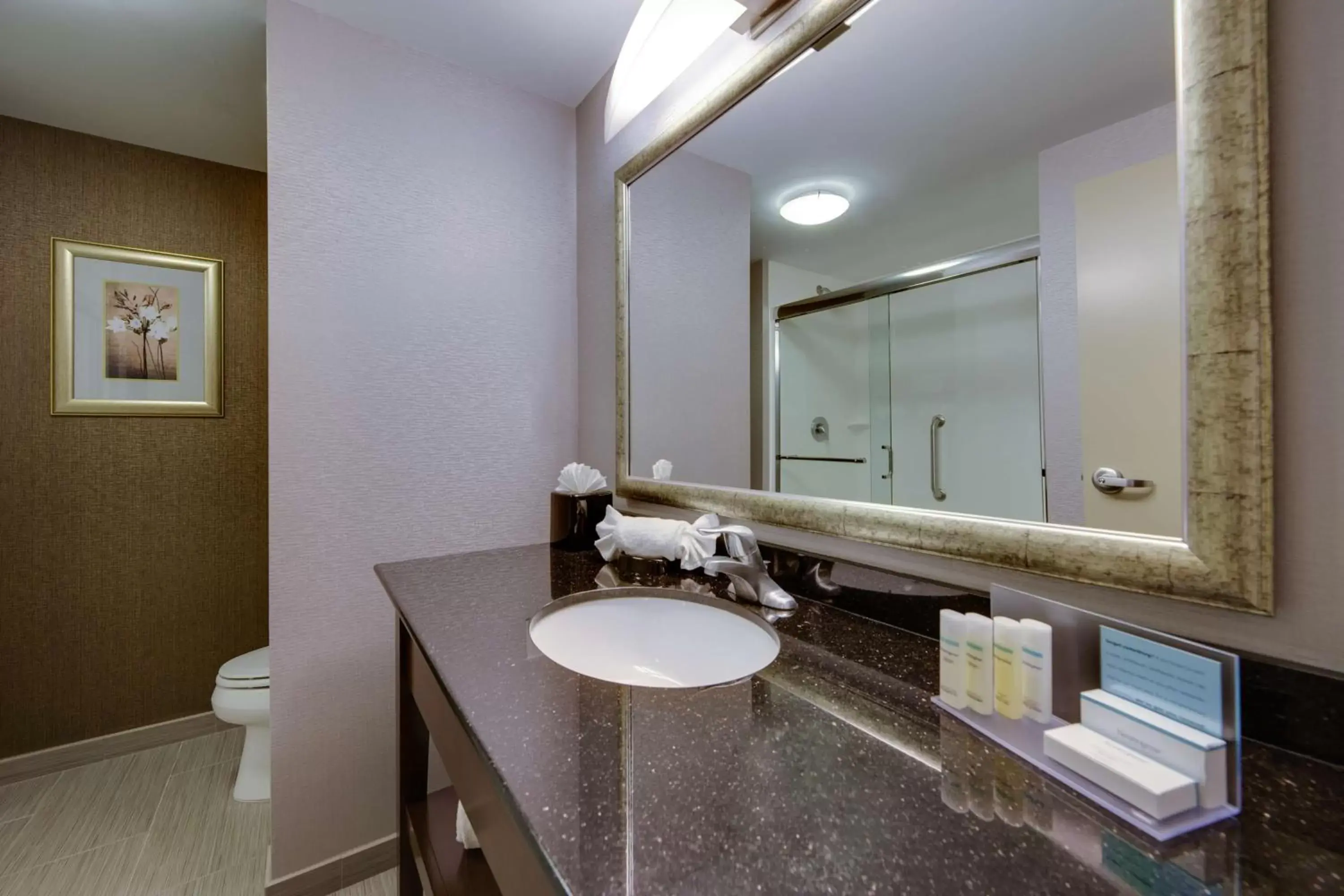 Bathroom in Hampton Inn & Suites Philadelphia/Bensalem