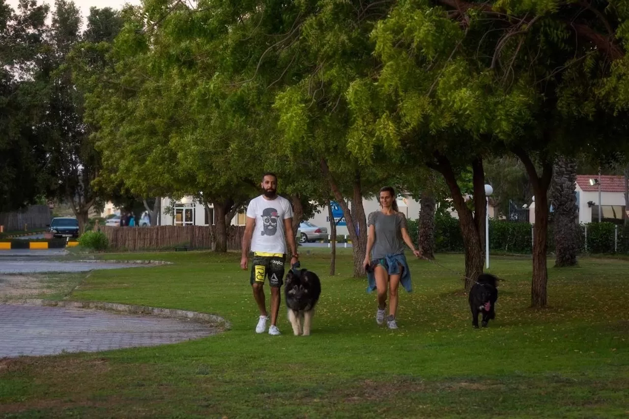 Natural landscape in Barracuda Resort