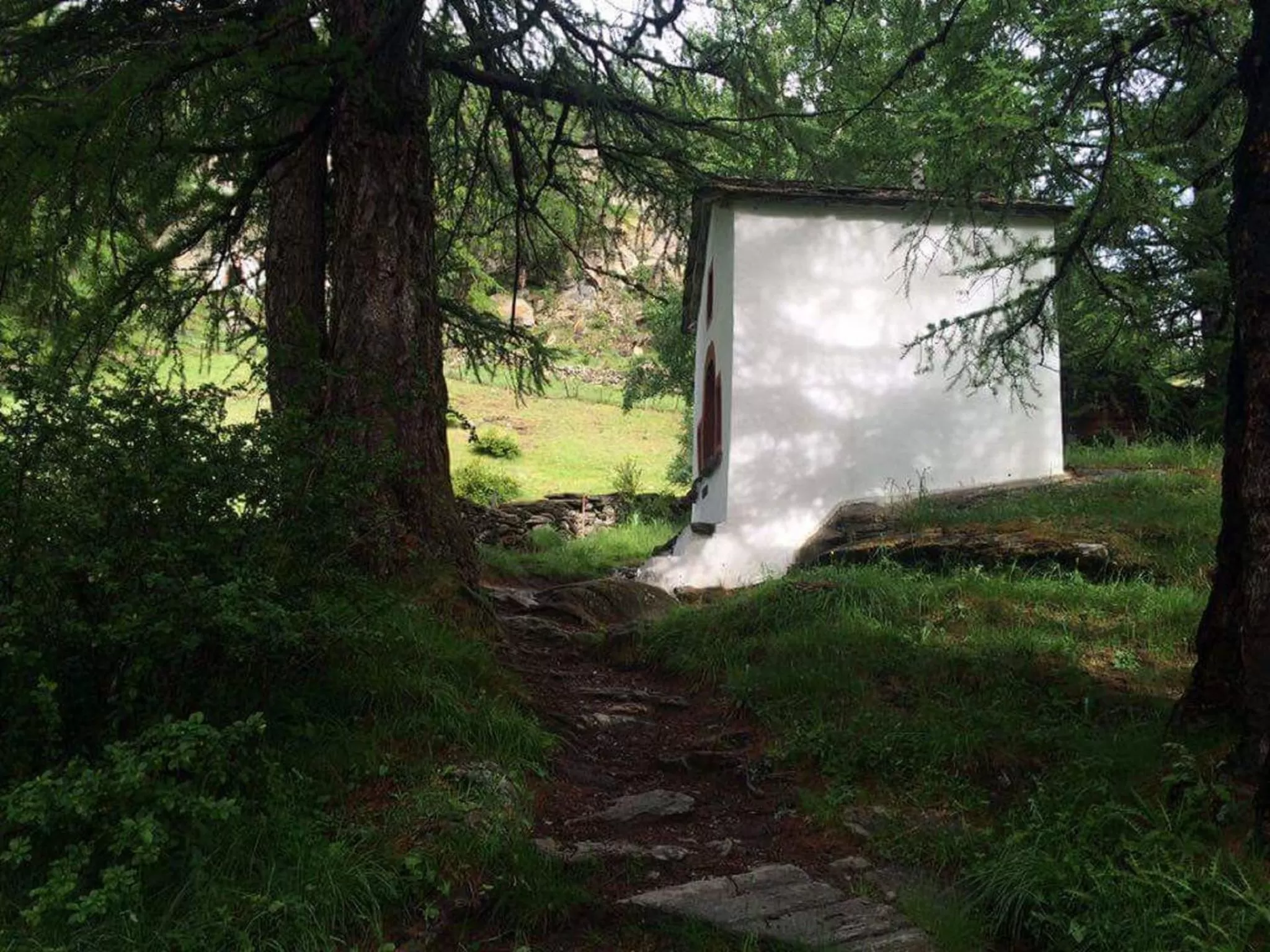 Area and facilities in Amber Ski-in/out Hotel & Spa