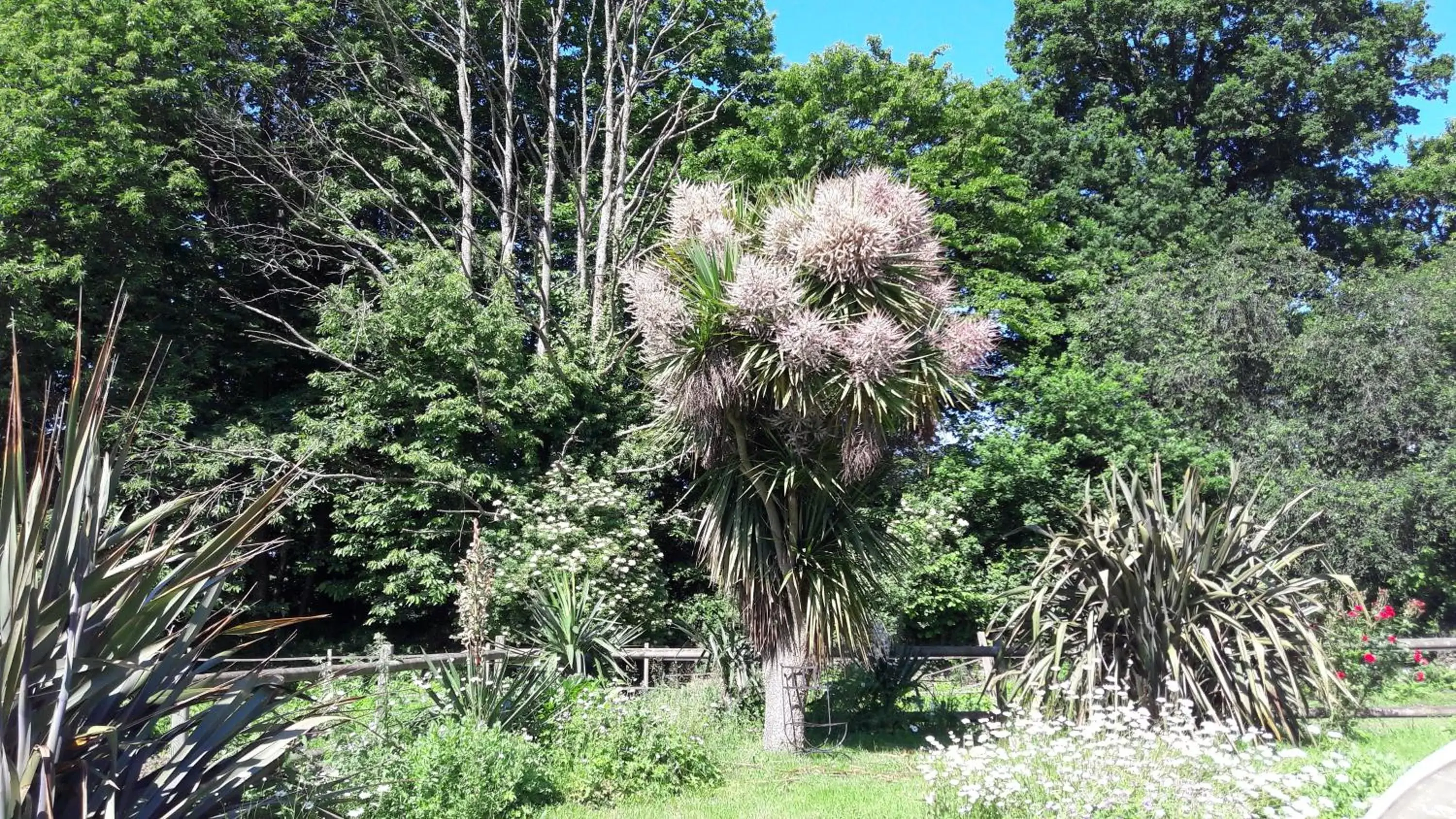 Garden in Manoir de la Peignie