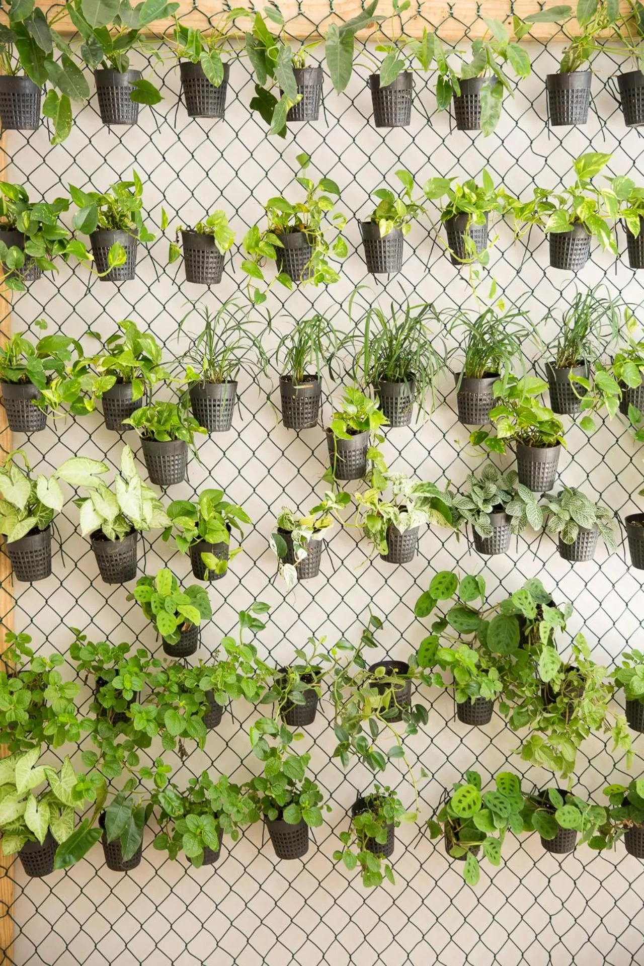 Other in Best Western El Dorado Panama Hotel