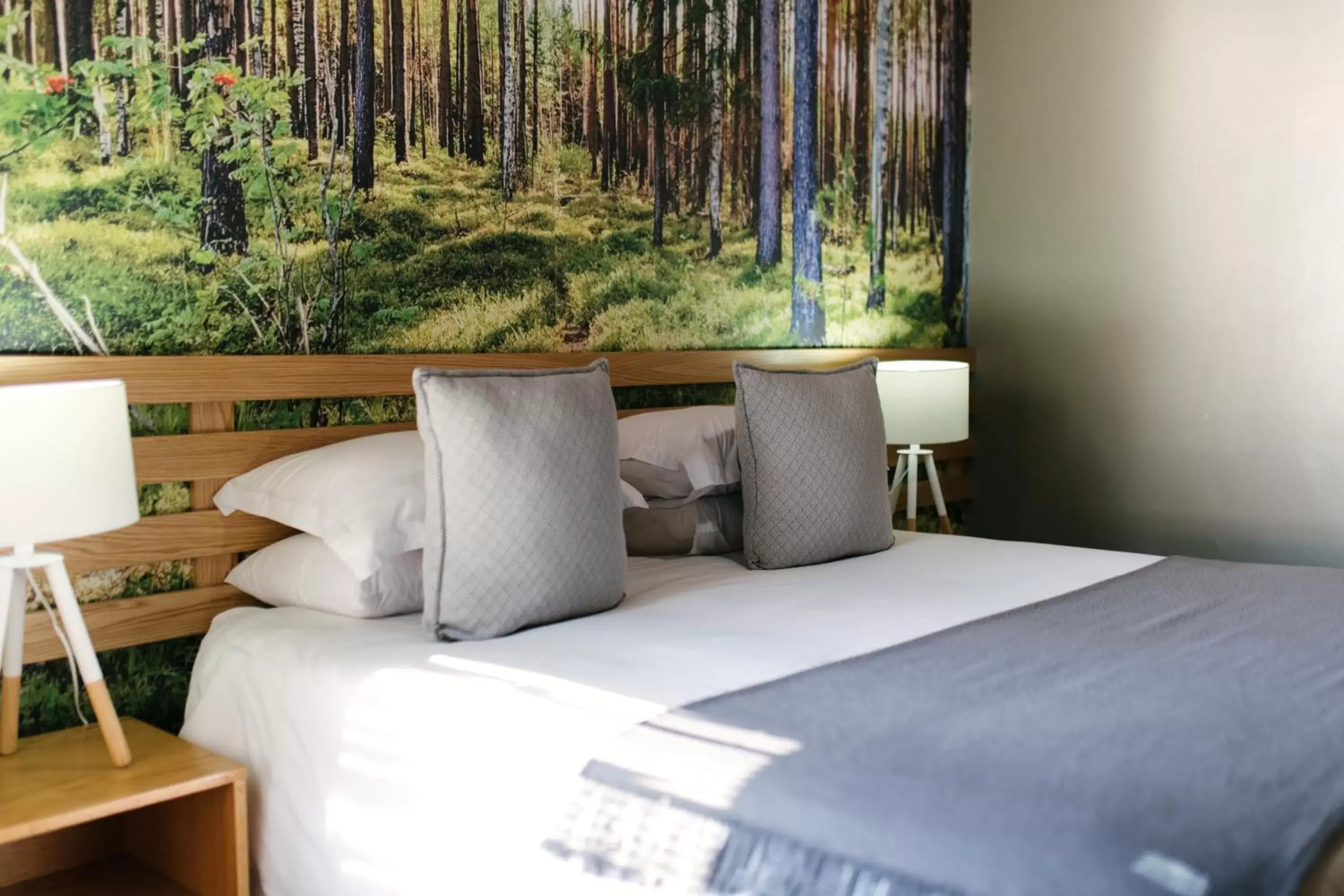 Deluxe King Room - single occupancy in Agapé Boutique Guesthouse Bothaville Deluxe King Room - single occupancy in Agapé Boutique Guesthouse Bothaville