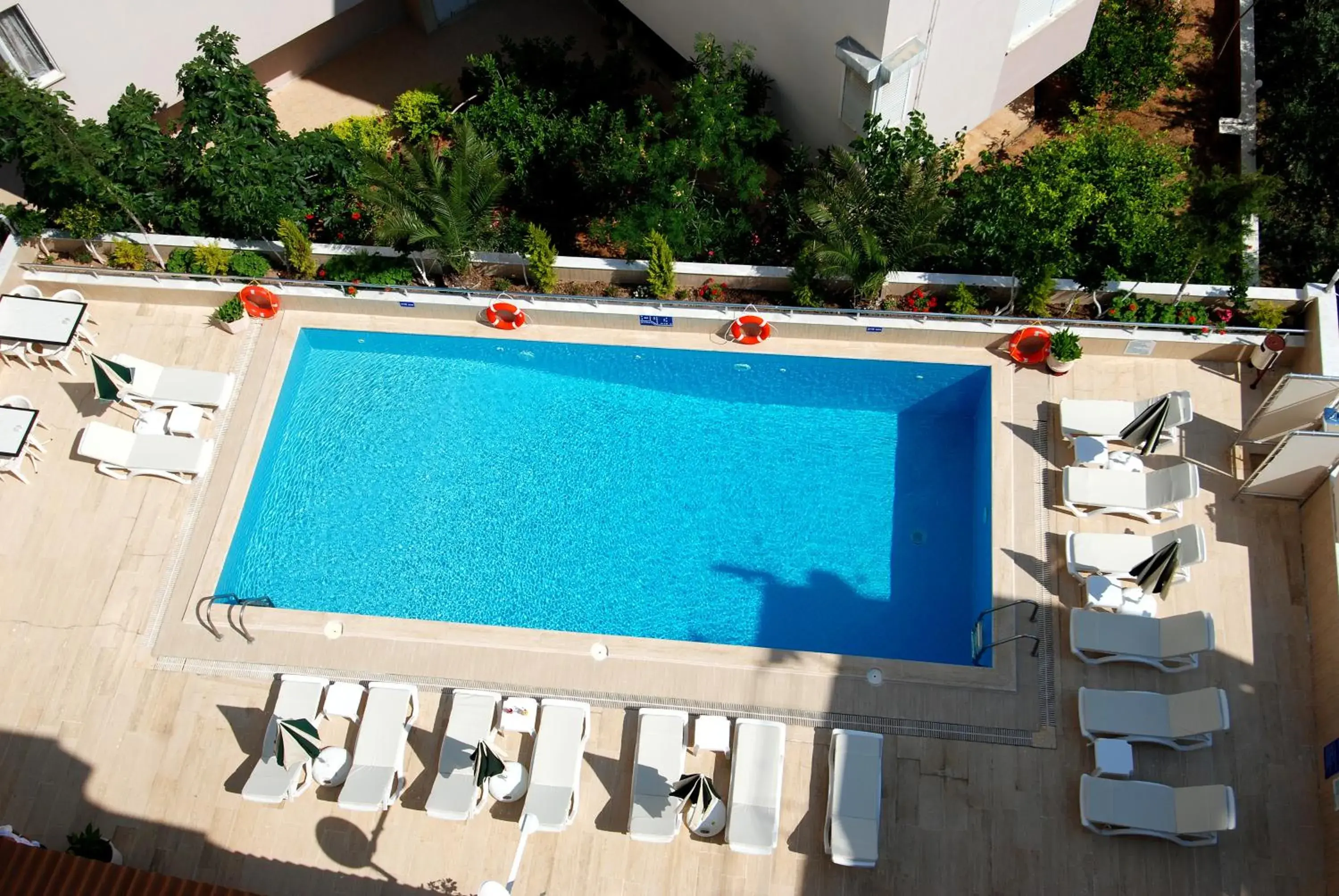 Swimming pool, Pool View in Lara Diamond Hotel