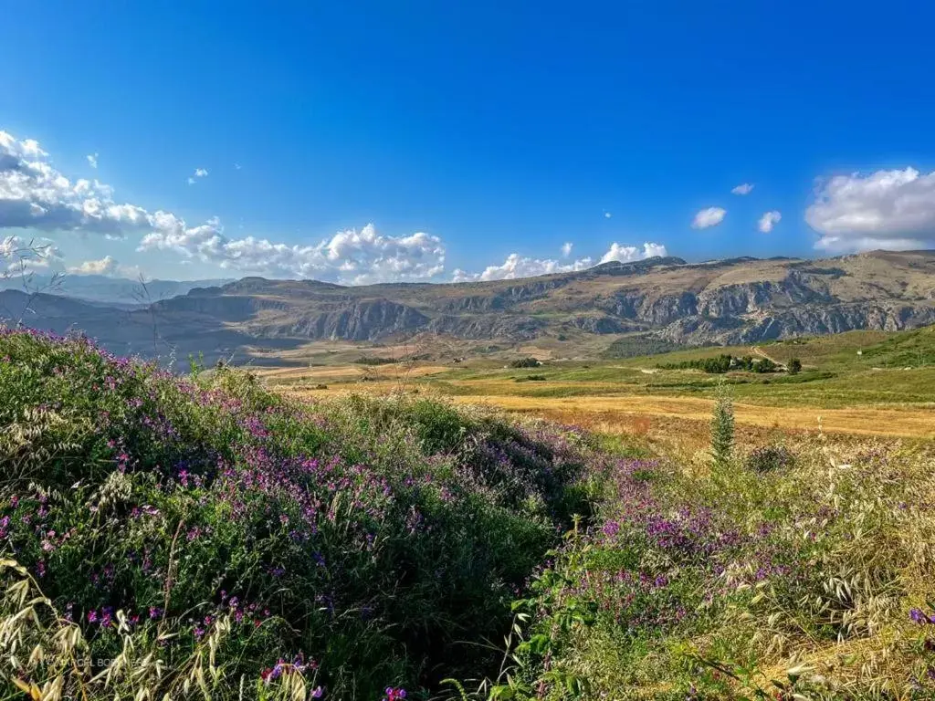 Natural Landscape in Corleone GUESTHOUSE