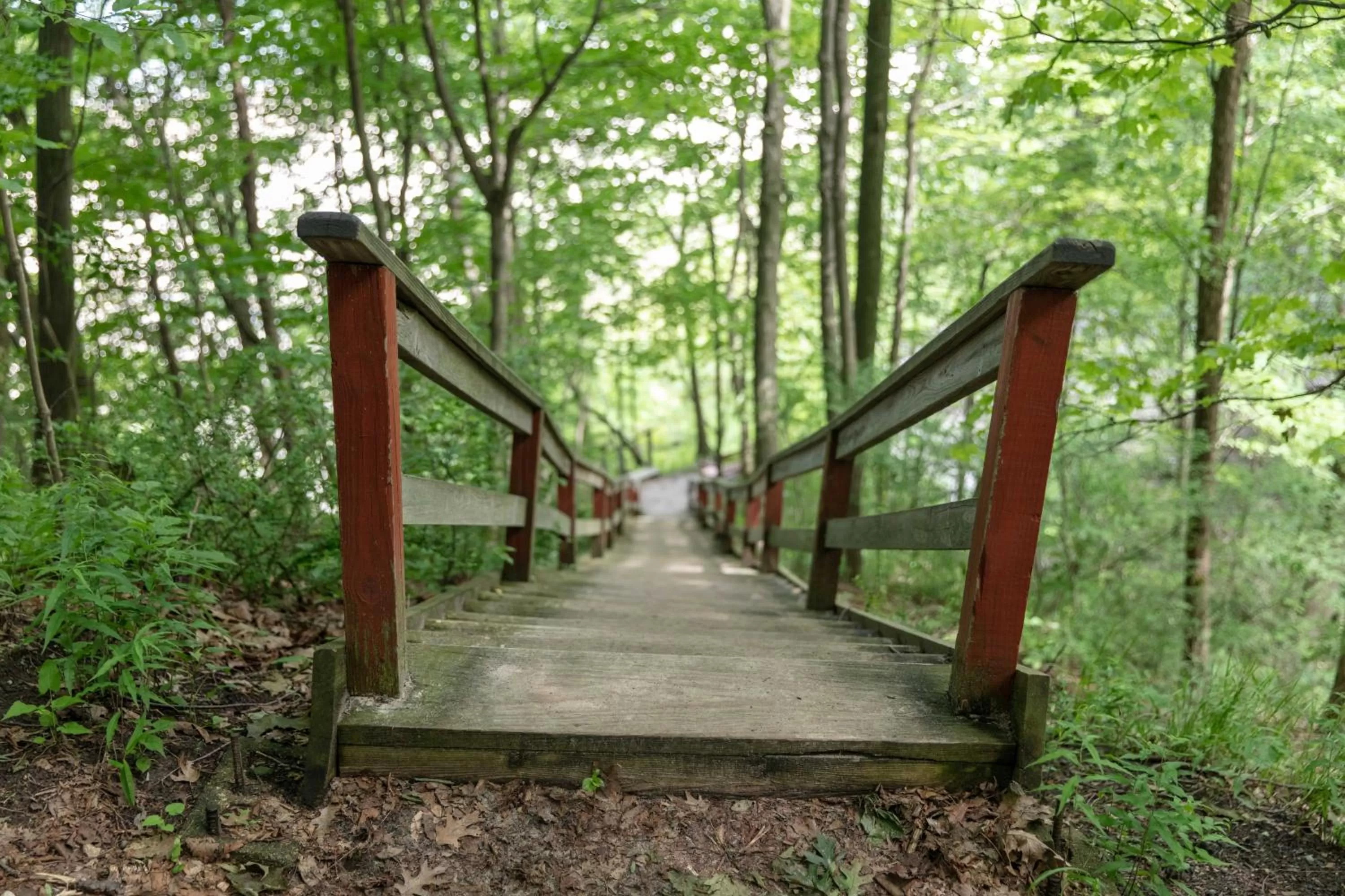 Property building in Lakeside Inn