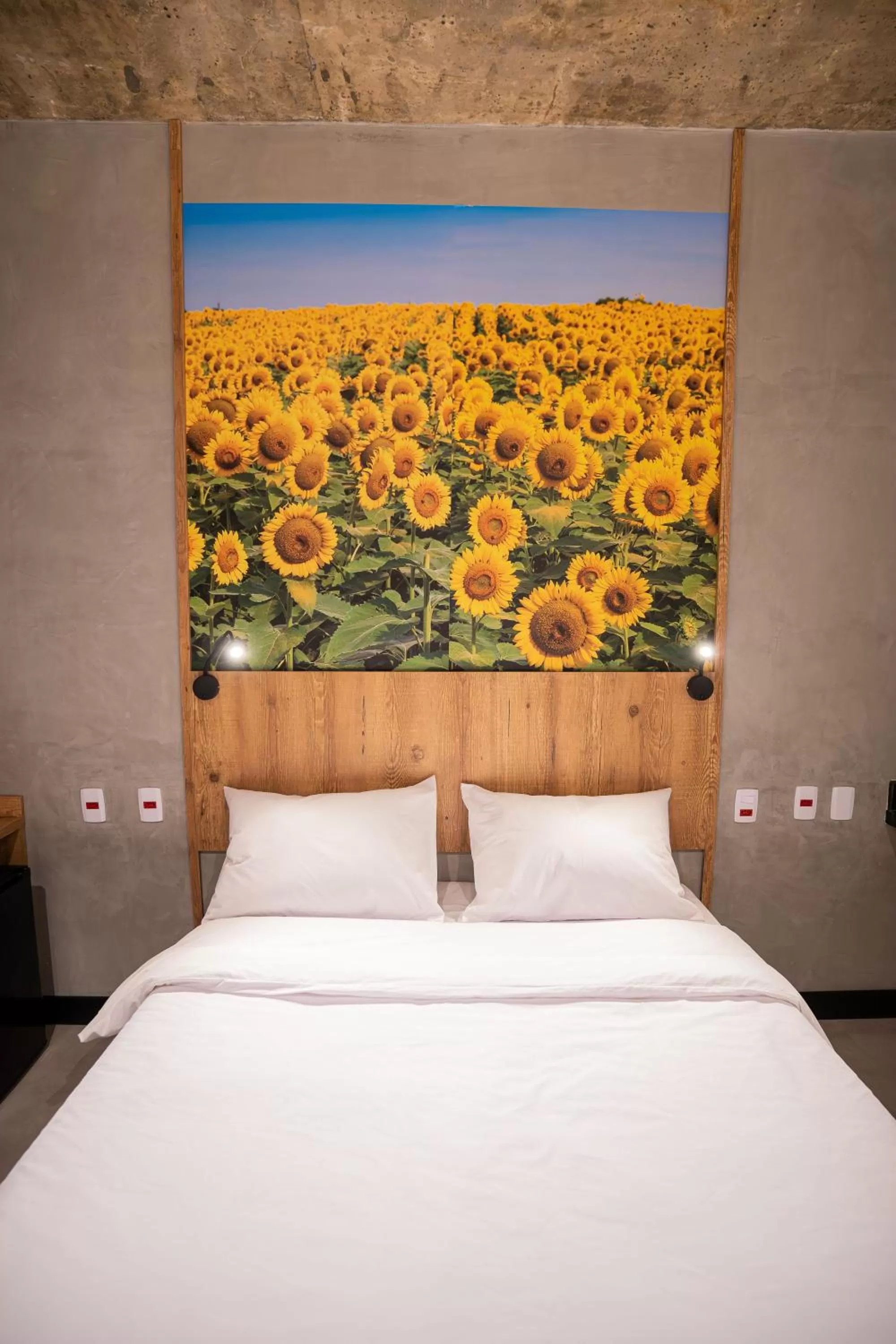 CAMPOS DE HOLAMBRA INN