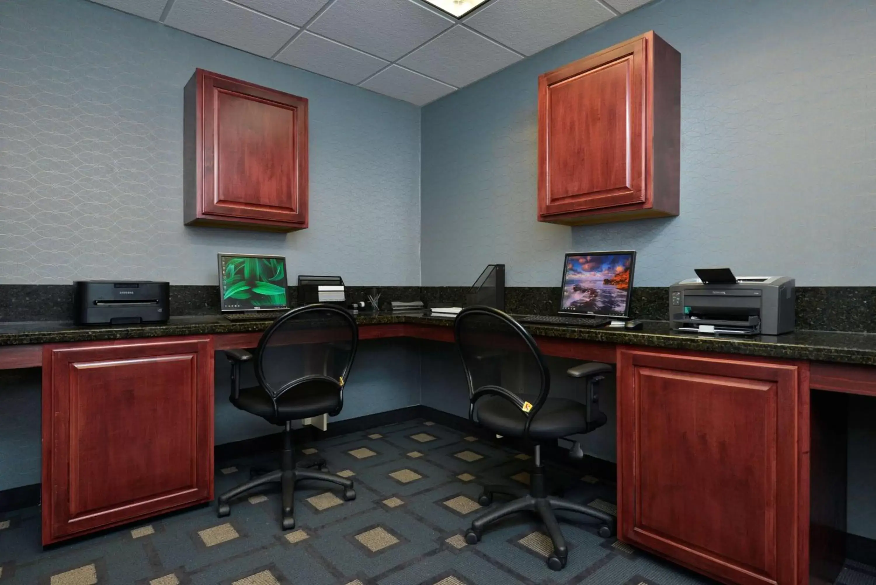 Business facilities in Hampton Inn East Aurora