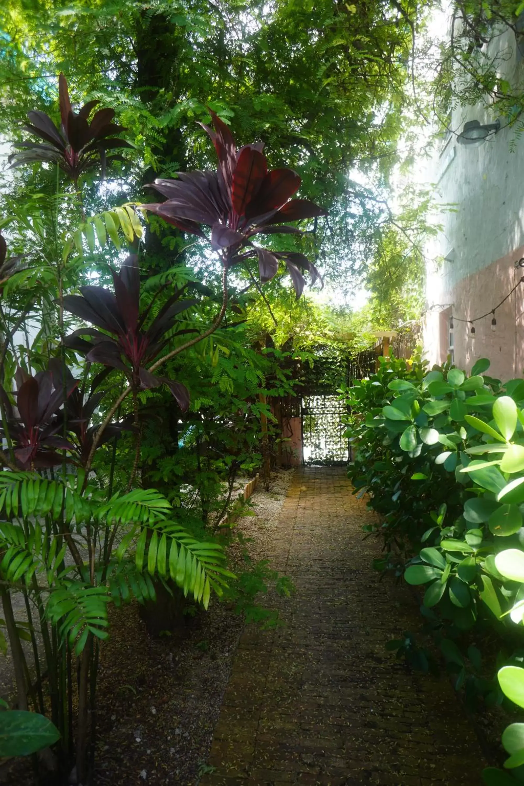 Garden in The New Yorker Miami Hotel