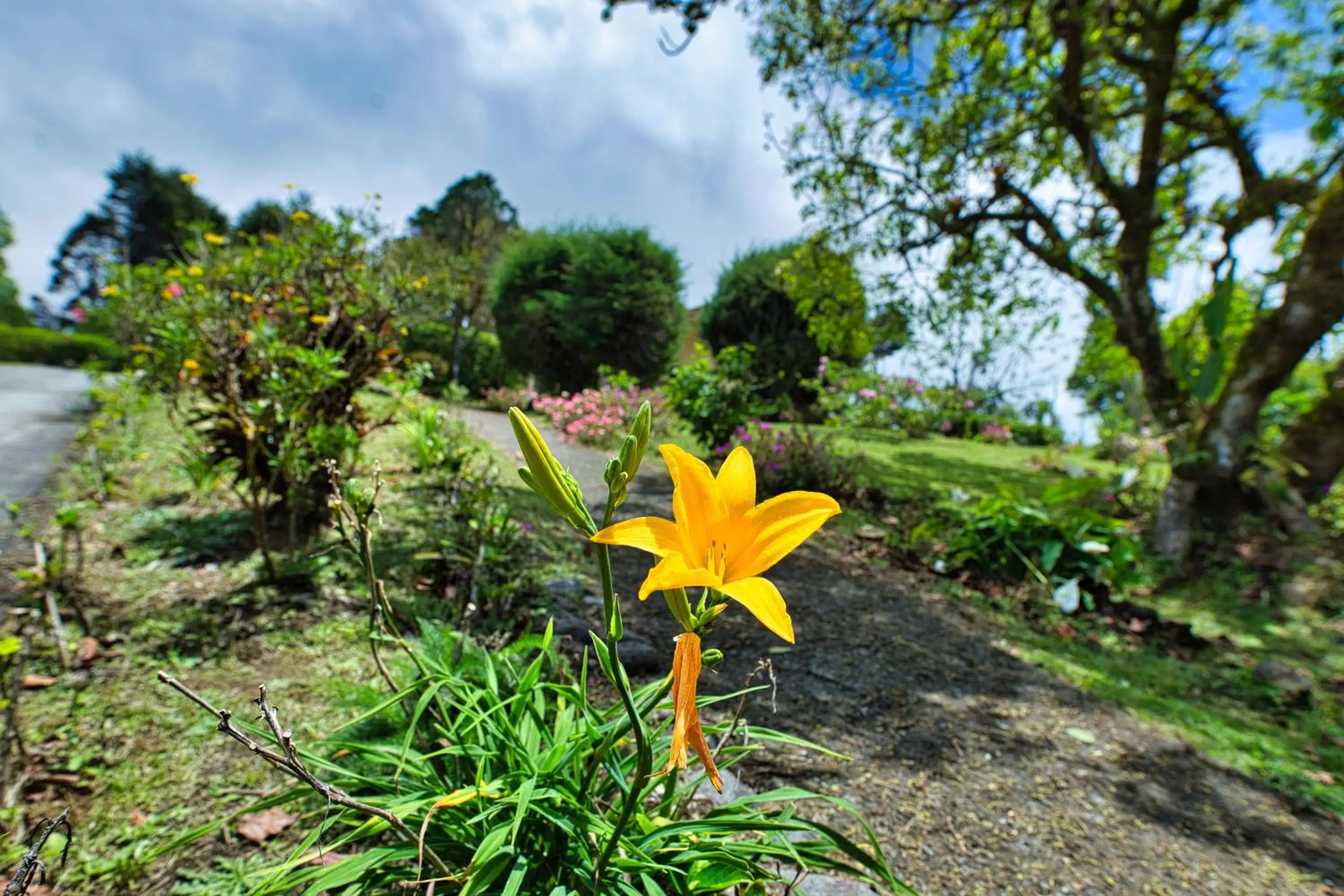 Garden in Hotel Villa Zurqui