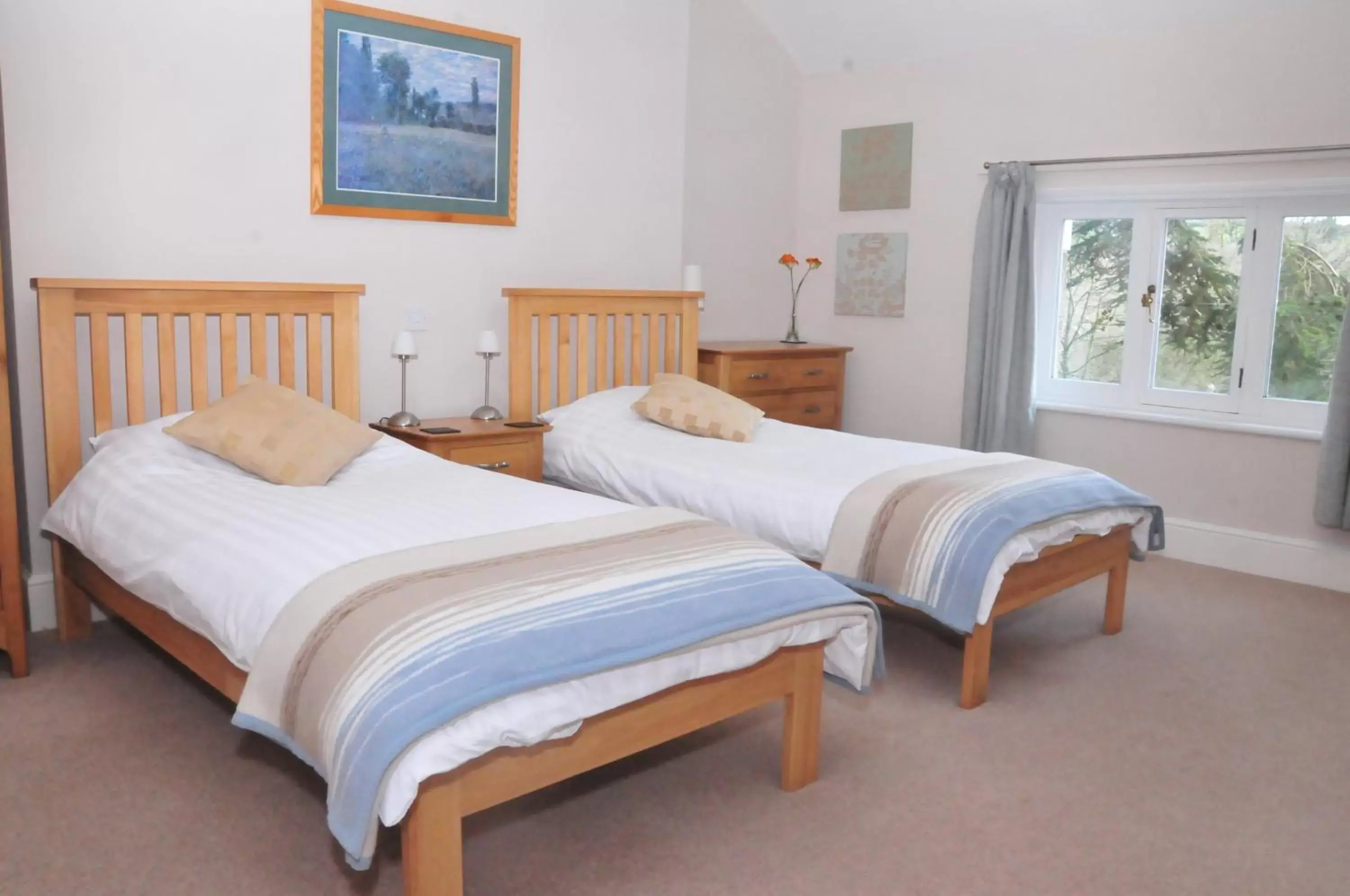 Large Twin Room - single occupancy in The Old Rectory Bed and Breakfast Large Twin Room - single occupancy in The Old Rectory Bed and Breakfast