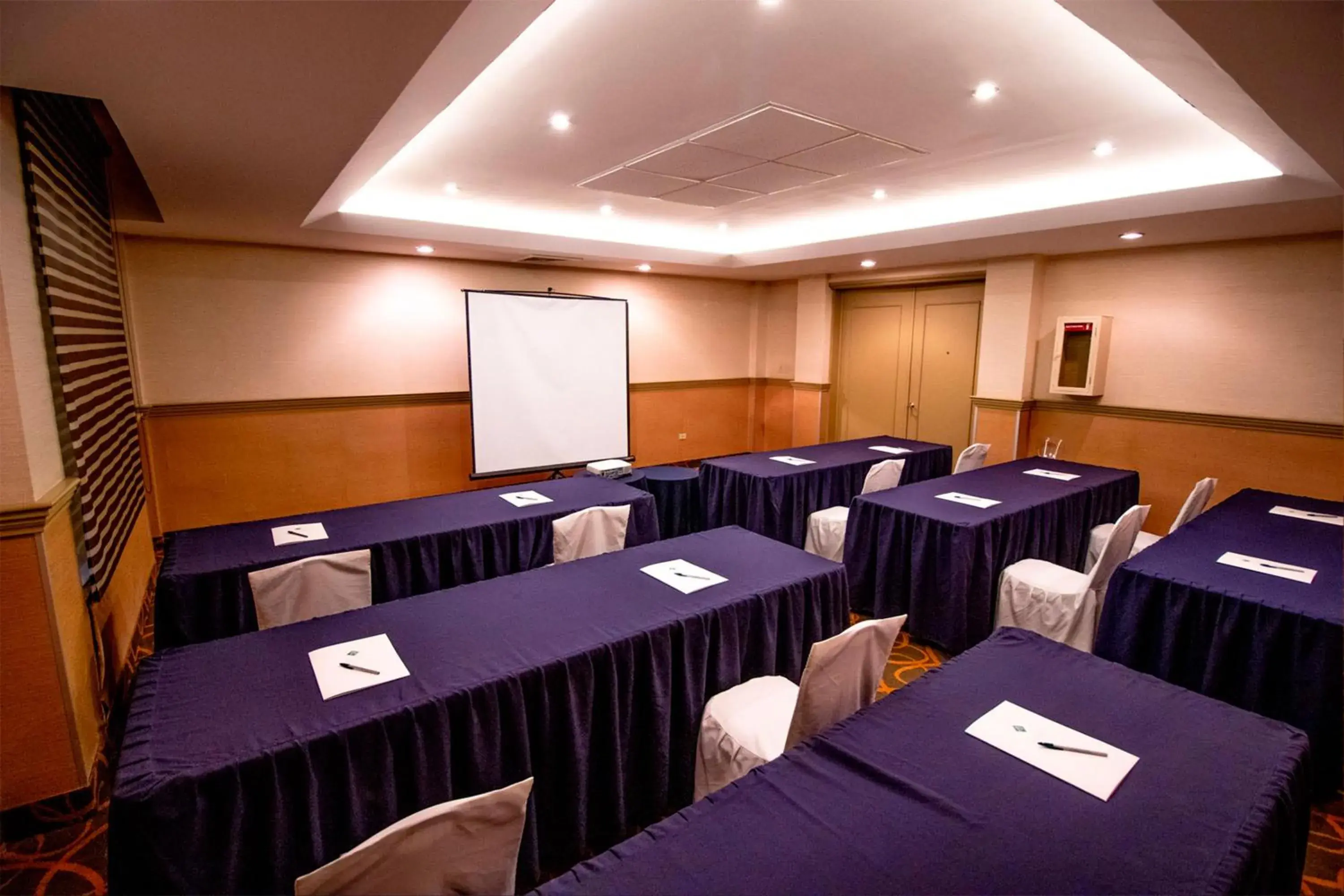 Meeting/conference room in Araiza Palmira Hotel y Centro de Convenciones