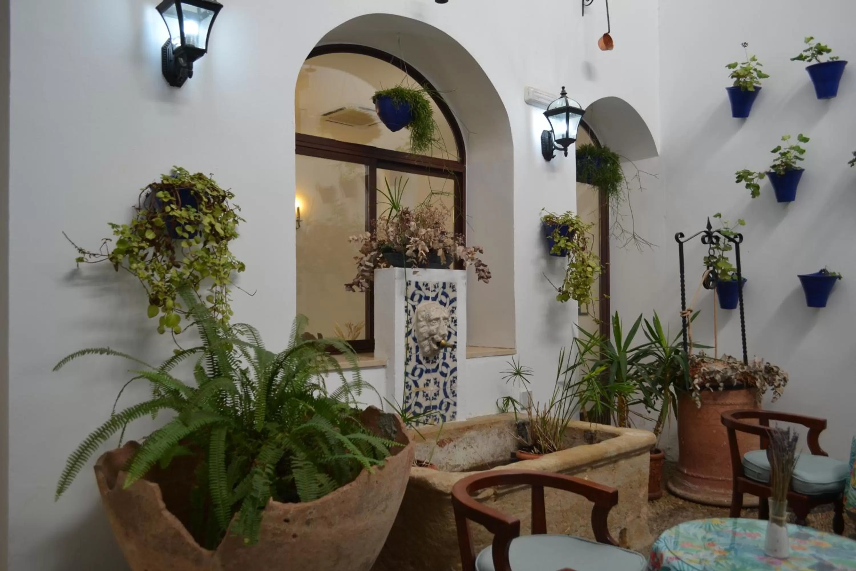 Patio in Hotel Marisa