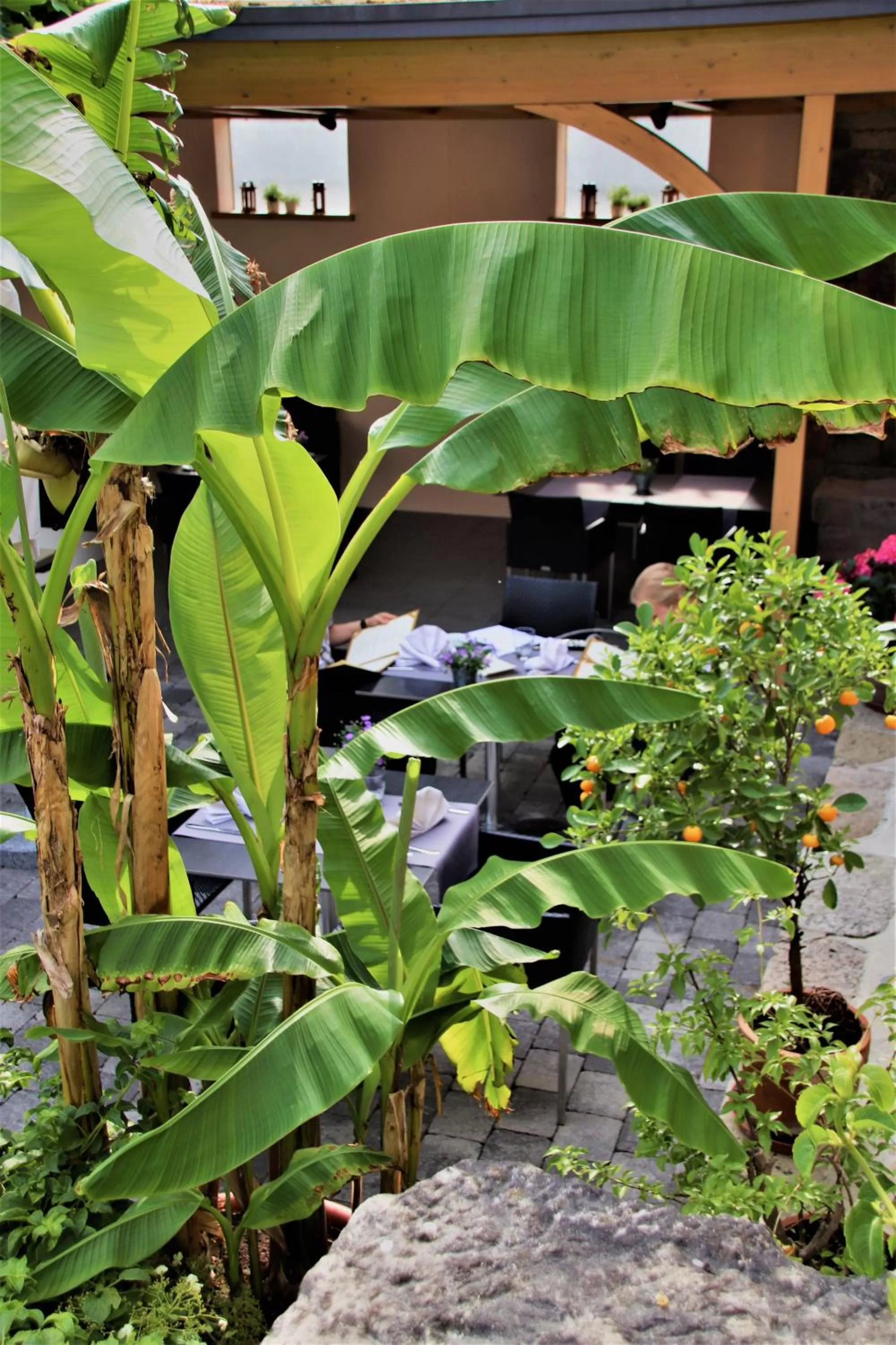 Restaurant/places to eat in Restaurant & Hotel Einhorn