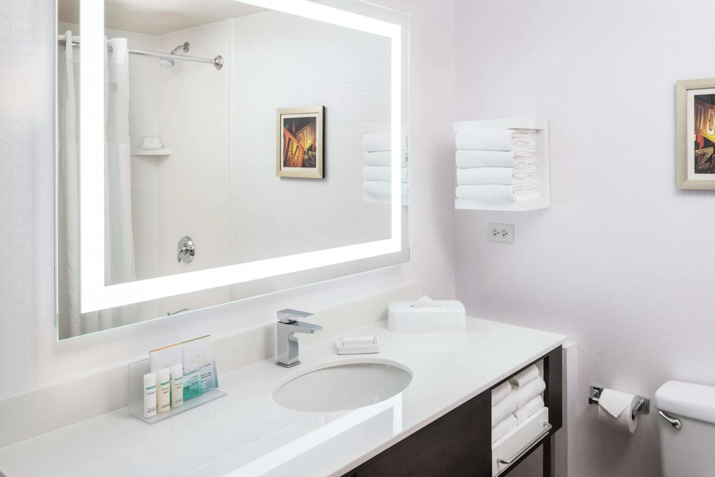 Bathroom in Hampton Inn Tropicana