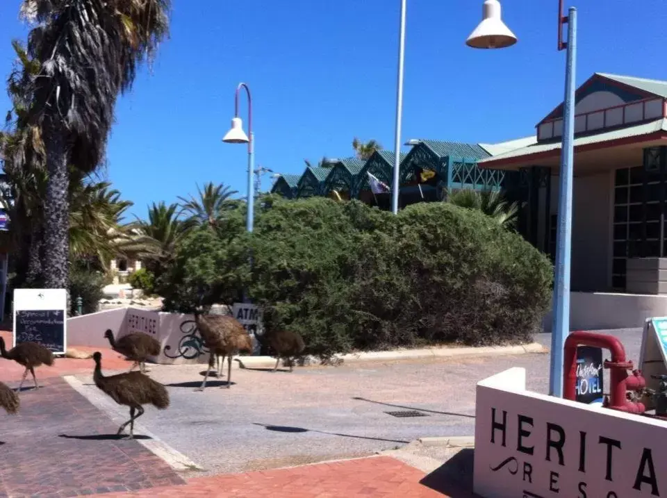 Heritage Resort Shark Bay