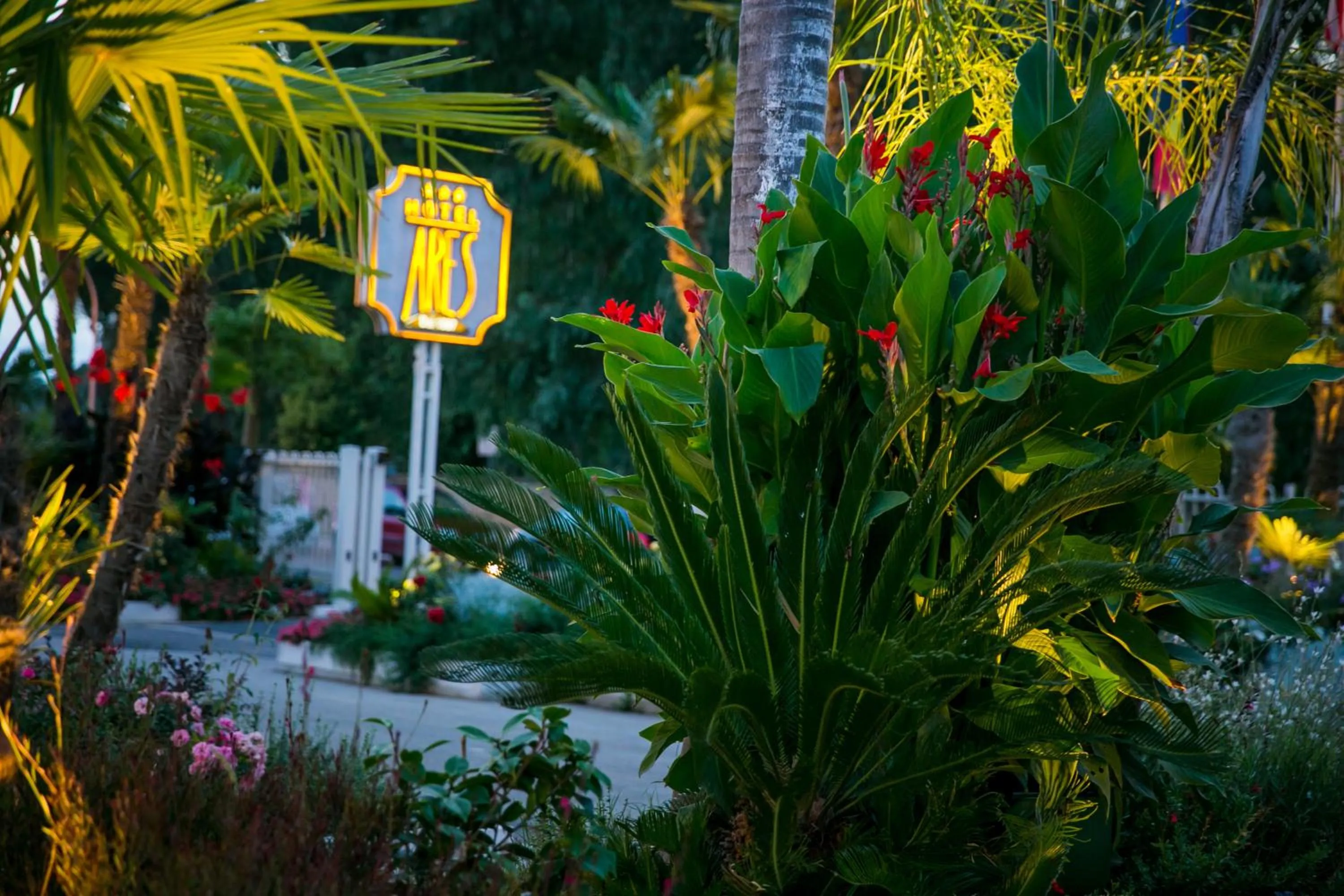 Garden in Hotel Ares